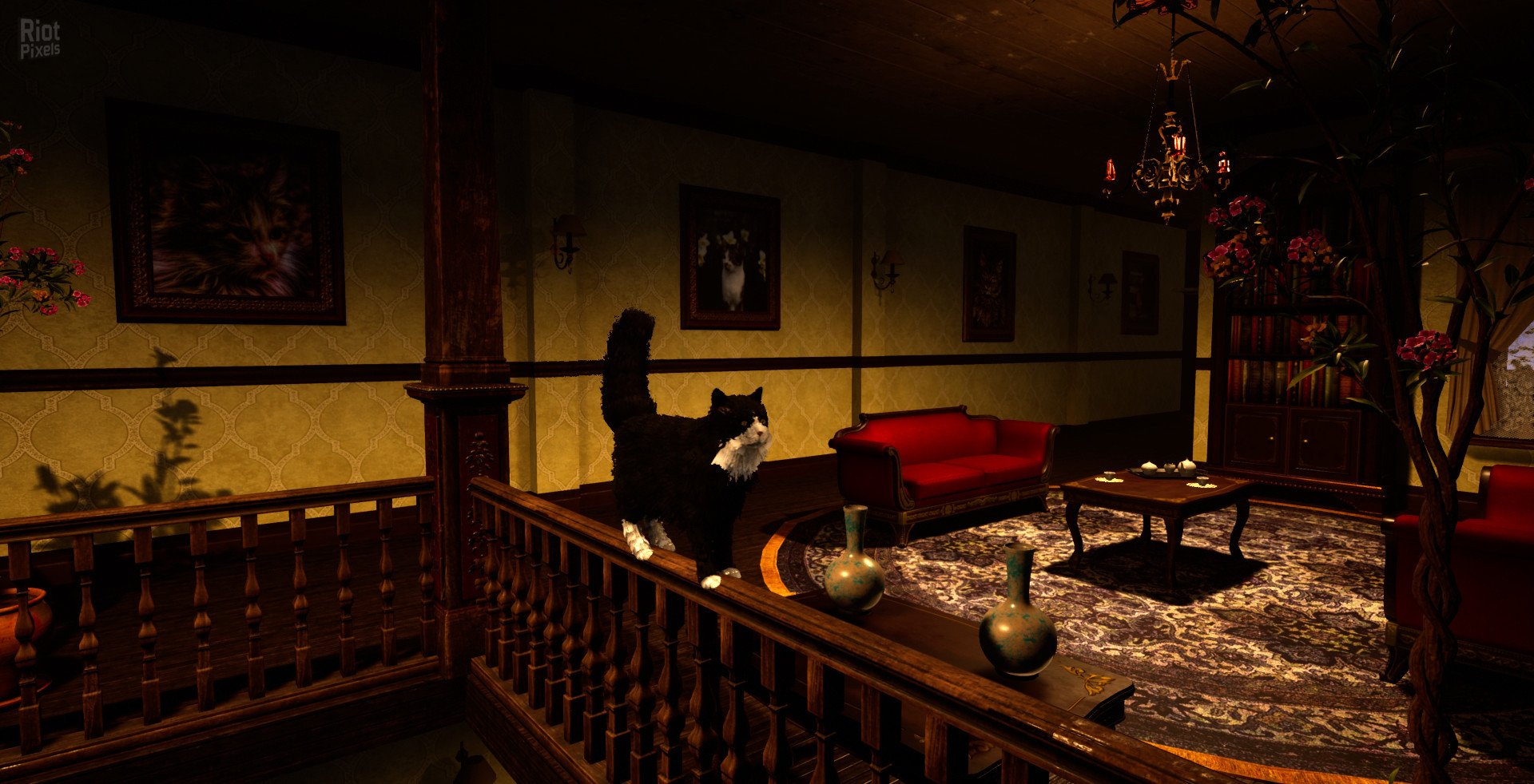 [10]-Catsperience Download-HohohoGames
