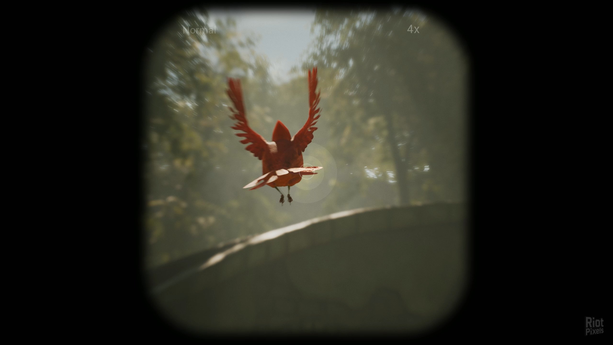 [4]-Morels: The Hunt Download-HohohoGames