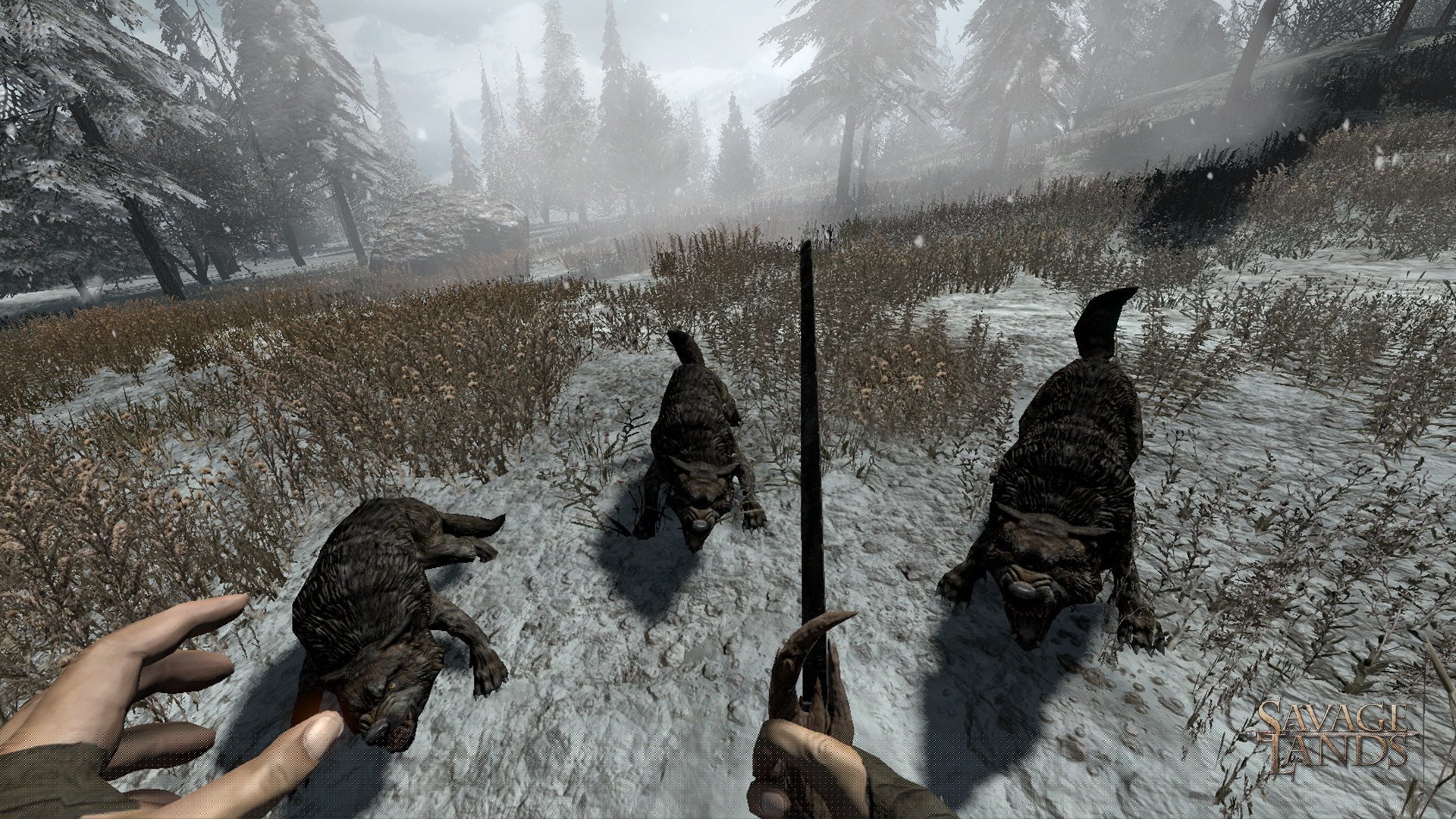[11]-Savage Lands – v0.3.1 Build 7 Download-HohohoGames