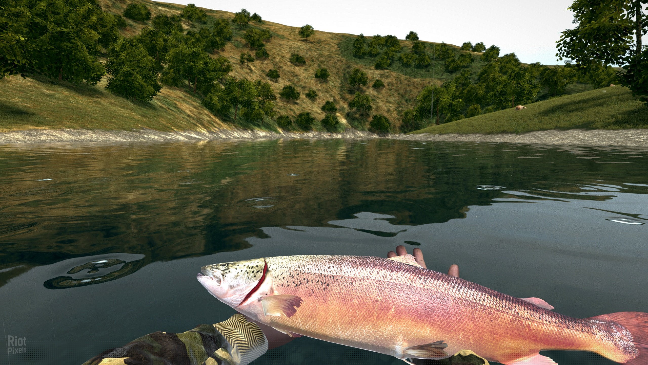 [9]-Ultimate Fishing Simulator: Gold Edition – v2.3.23.12:212 + 12 DLCs Download-HohohoGames
