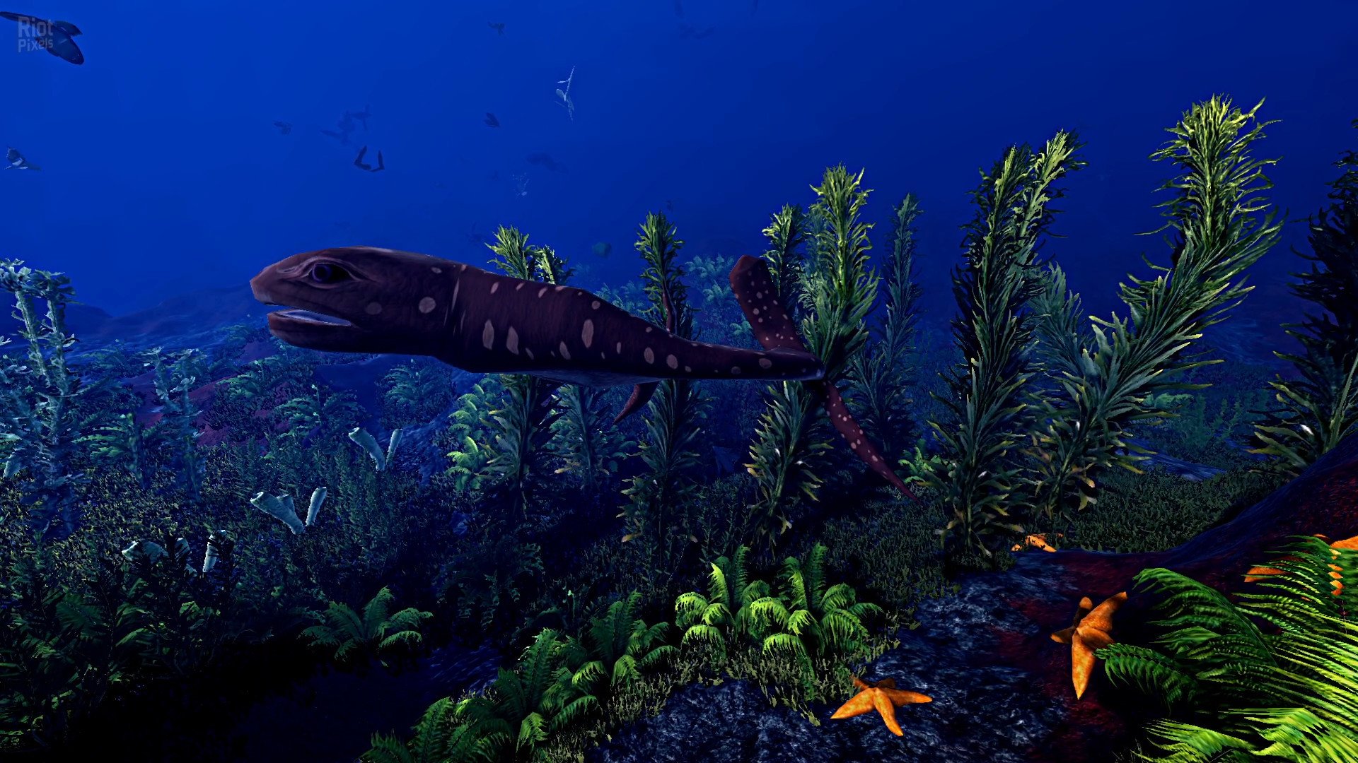 [8]-Ecosystem – v1.01 Download-HohohoGames