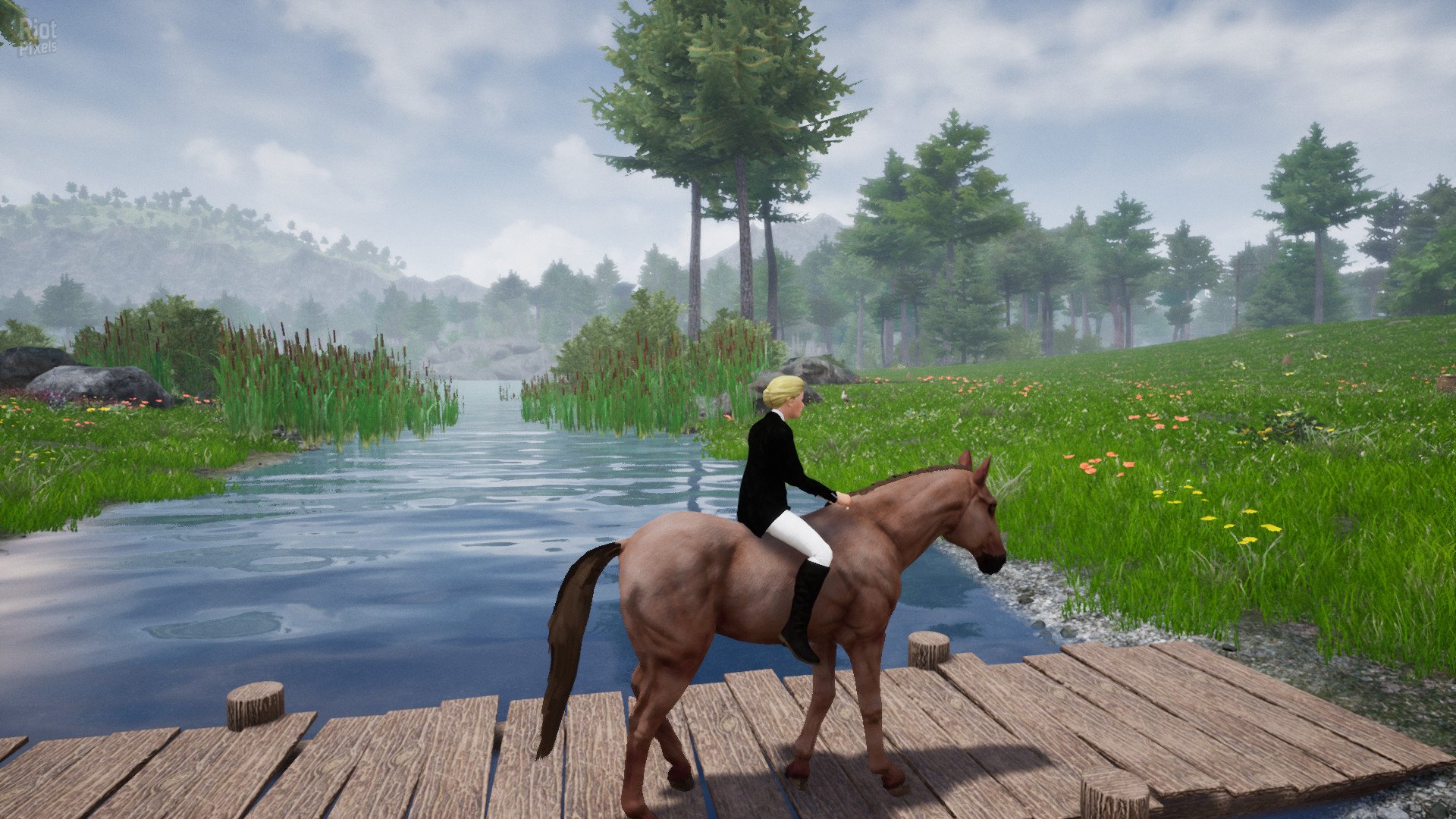 [10]-Horse Riding Deluxe 2 Download-HohohoGames