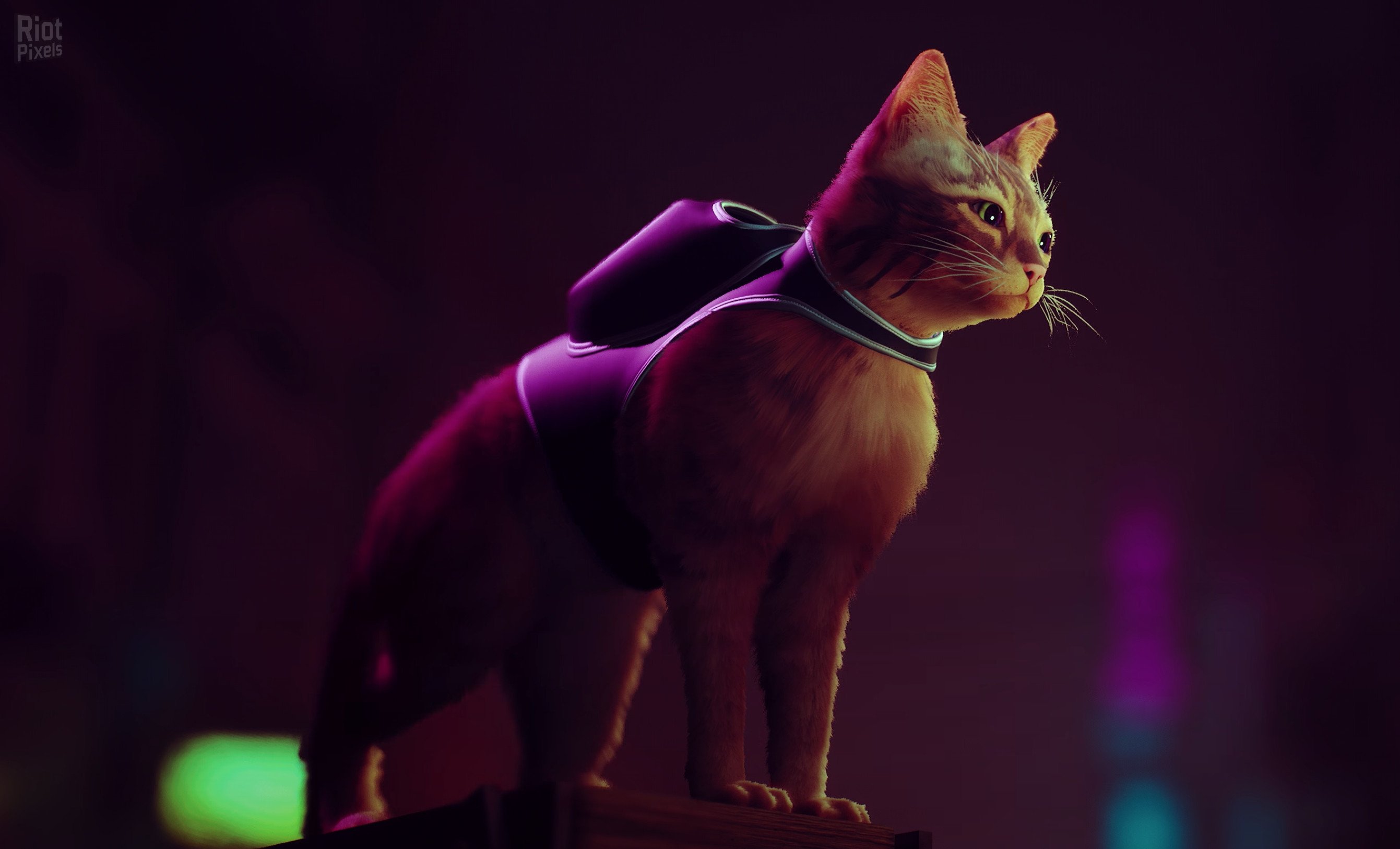 [21]-Stray: Soundtrack Edition – v1.5#368 Revision 26632 (Patch 4) + Bonus OST + Windows 7 Fix Download-HohohoGames