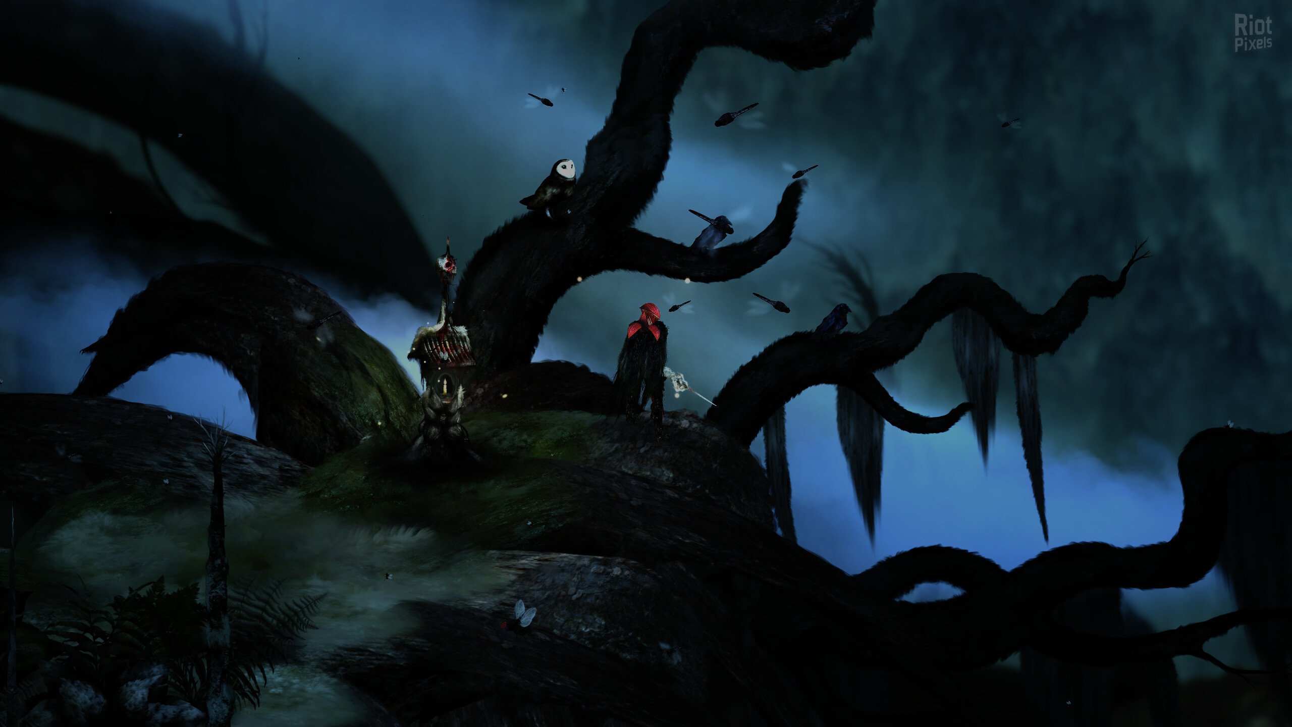 [14]-Perennial Order – v1.0.1 Hotfix 3 Download-HohohoGames