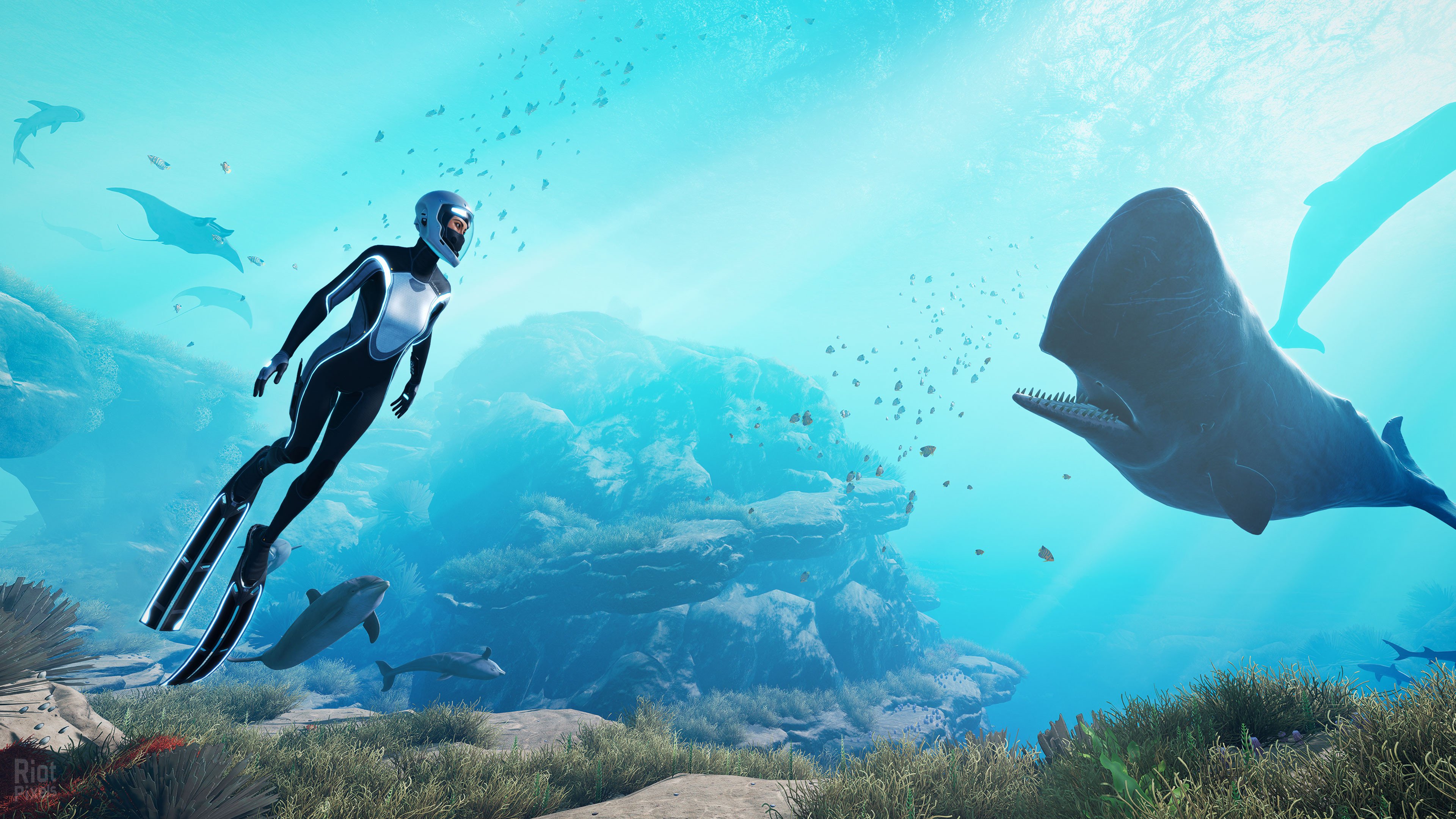 [17]-Beyond Blue – v1.7.17798 Download-HohohoGames