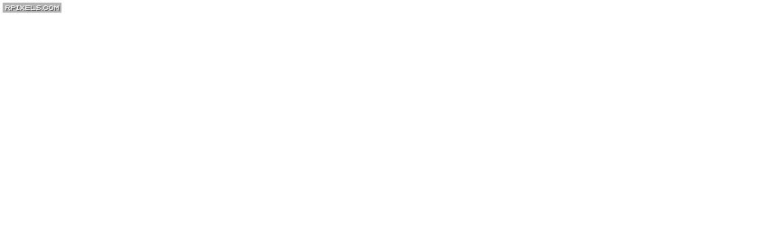 [25]-Wolfenstein II: The New Colossus + Update 10 + 5 DLCs Download-HohohoGames