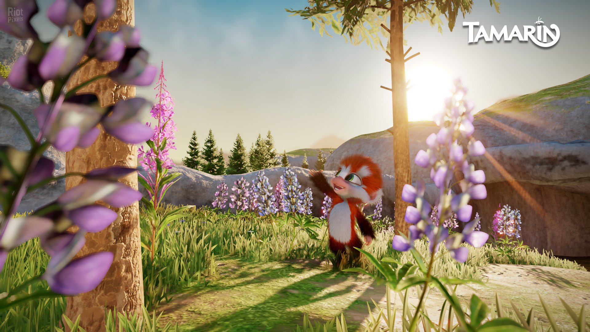 [14]-Tamarin Download-HohohoGames