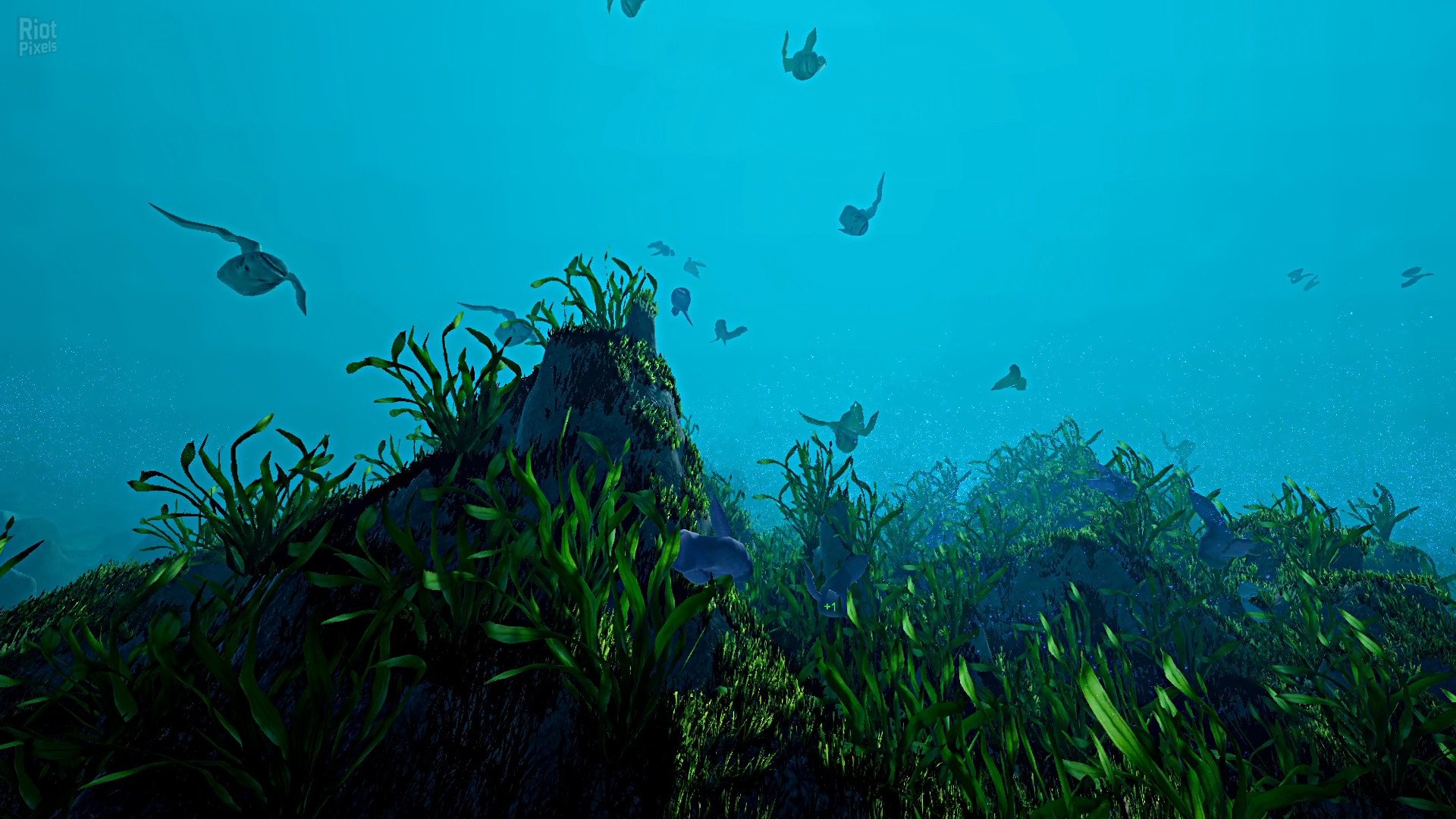 [5]-Ecosystem – v1.01 Download-HohohoGames