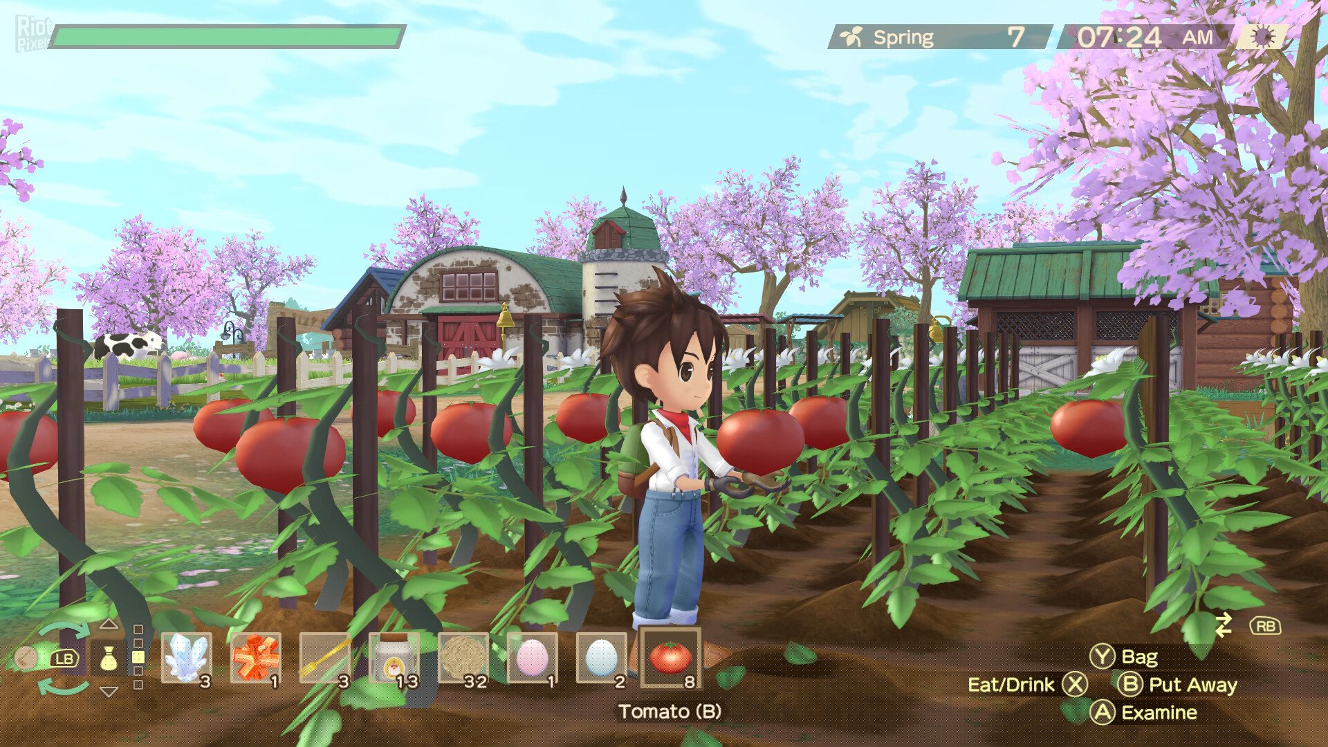 [16]-STORY OF SEASONS: A Wonderful Life + 2 DLCs + Windows 7 Fix Download-HohohoGames