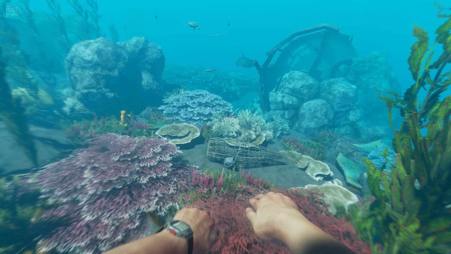 [3]-Stranded Deep – v1.0.6.0.17 Release Download-HohohoGames