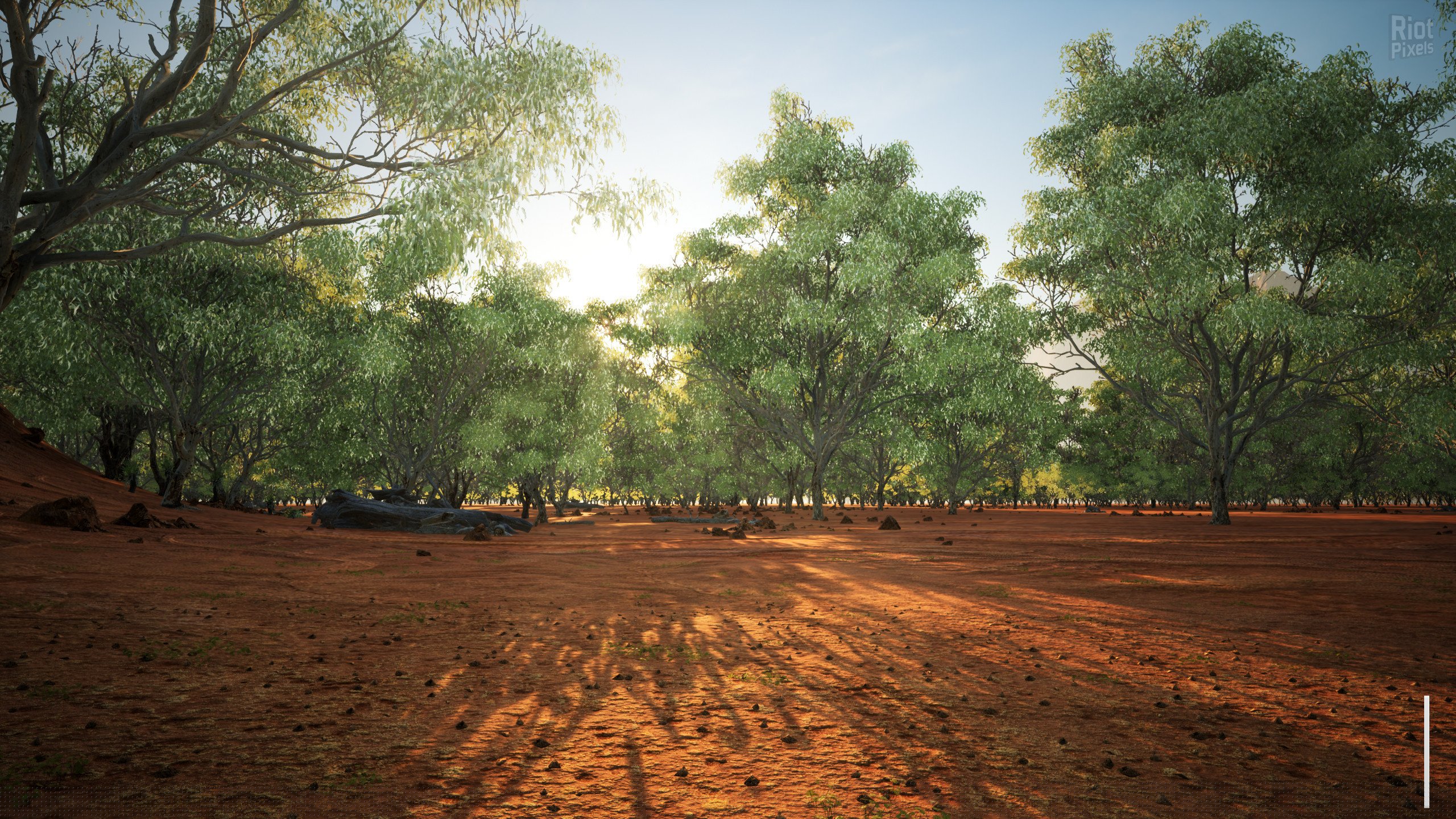 [9]-The Quiet Apocalypse Download-HohohoGames