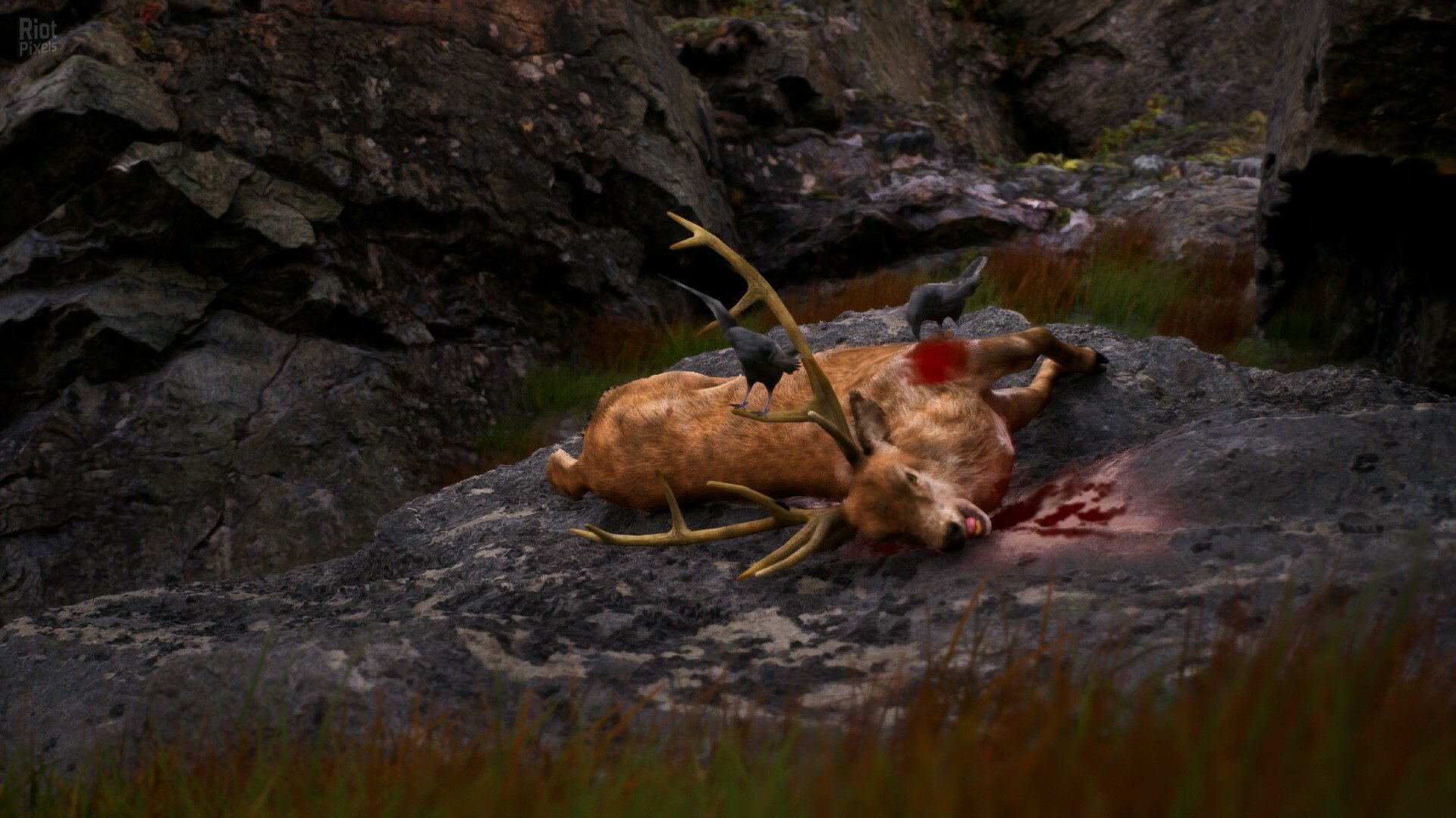 [8]-Once Alive – v0.9.9.8 Download-HohohoGames
