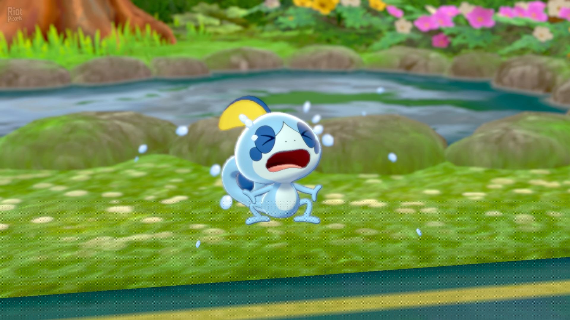 Pokemon: Sword/Shield – v1.3.1 + 2 DLCs + Yuzu Emu for PC Download-HohohoGames