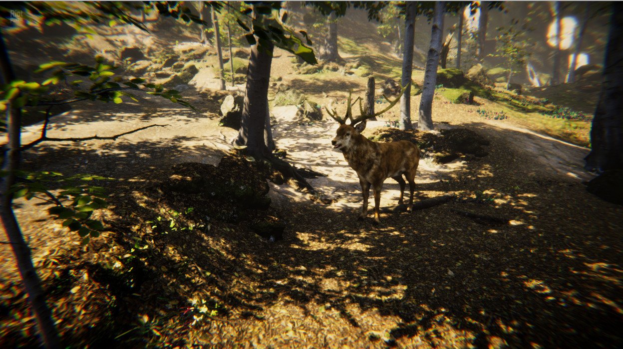 [5]-Animal Simulator Download-HohohoGames