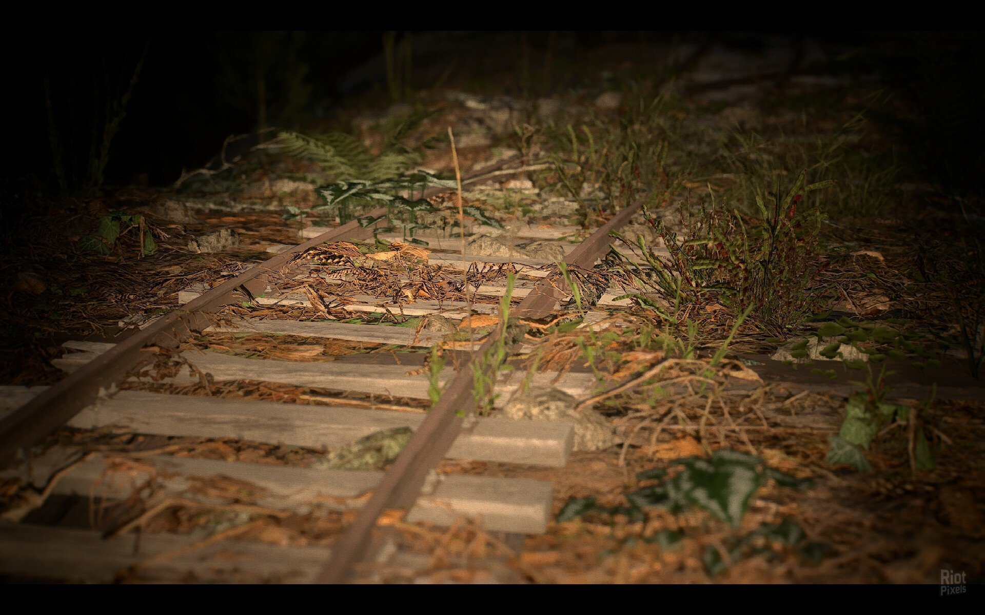 [8]-NARIBIKIMURA Download-HohohoGames