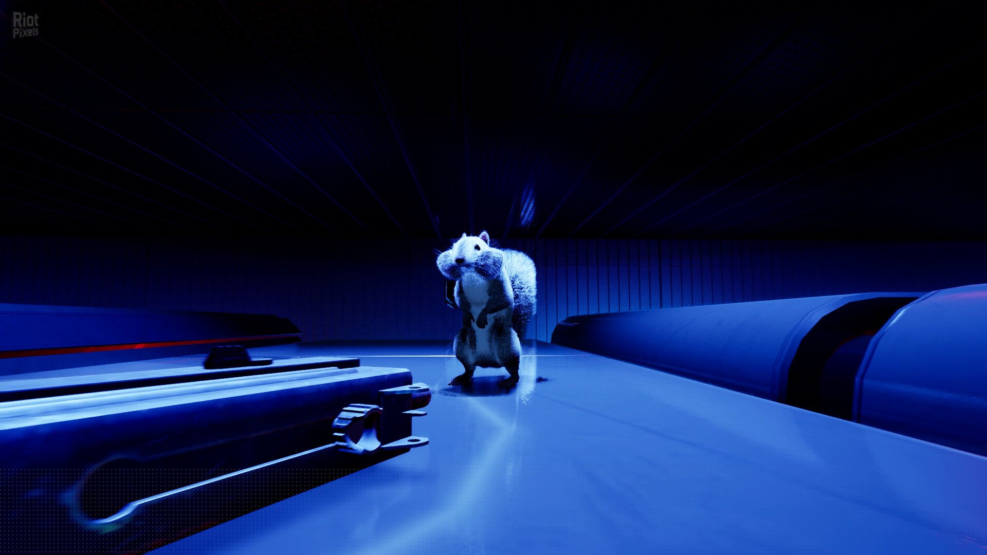 [14]-Squirrel with a Gun – v1.5.10.0 Download-HohohoGames