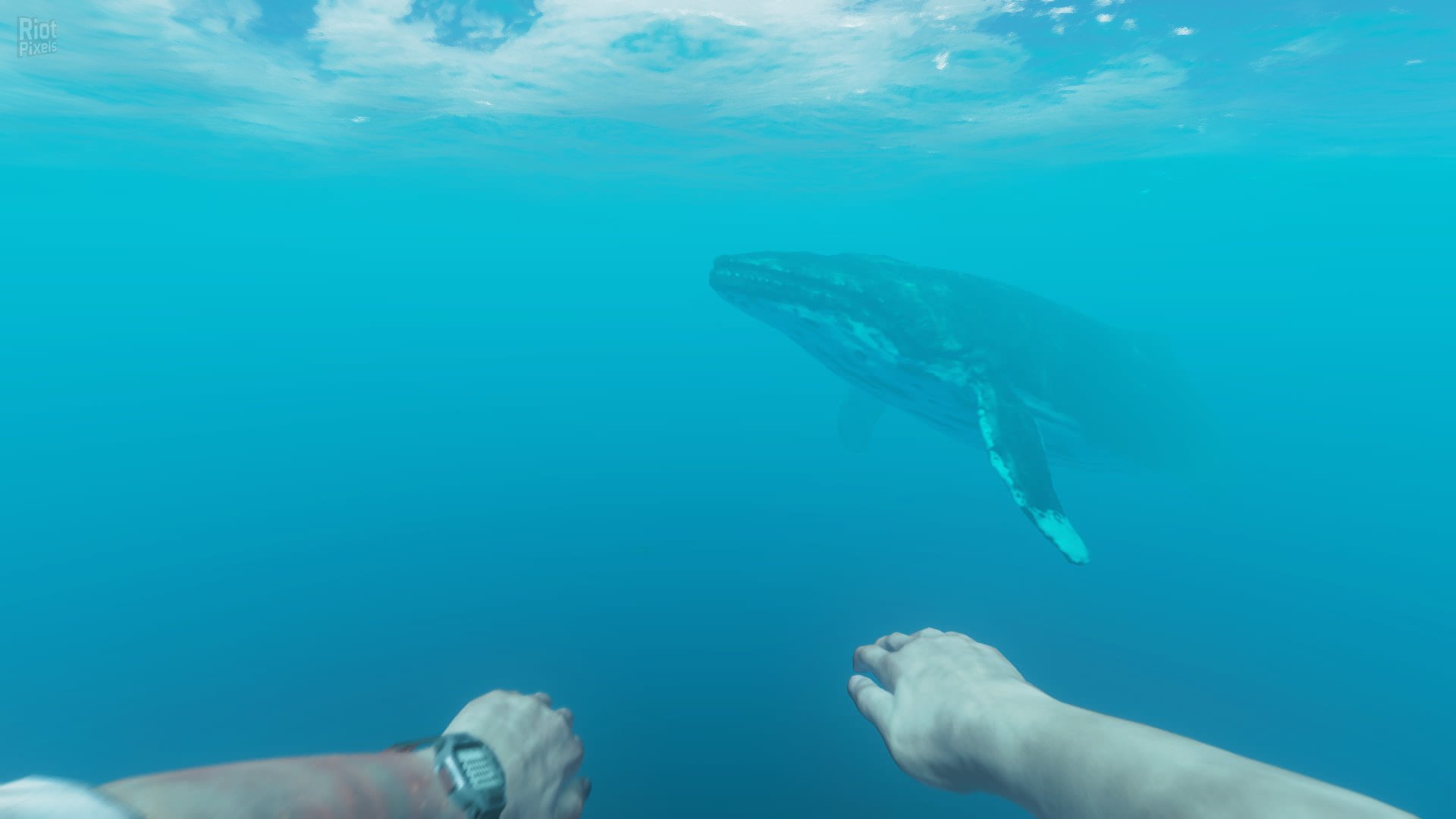 [4]-Stranded Deep – v1.0.6.0.17 Release Download-HohohoGames