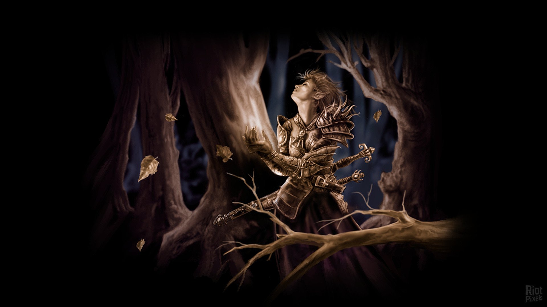 [23]-Neverwinter Nights: Enhanced Edition – Complete Adventures, v89.8193.37-14 + 8 DLCs Download-HohohoGames