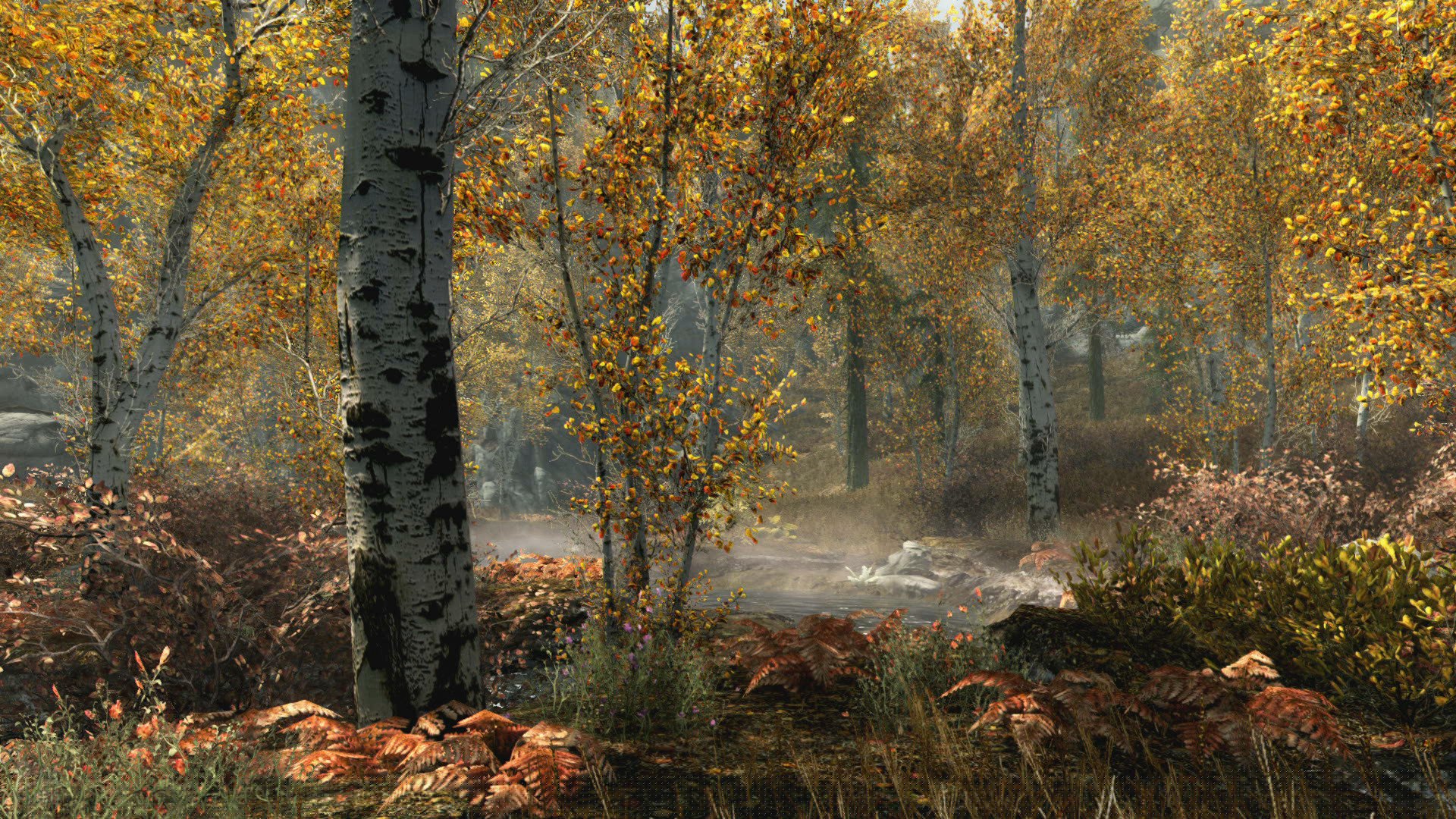 [10]-The Elder Scrolls: Skyrim – Special Edition – v1.5.97.0 + Creation Club Content Download-HohohoGames