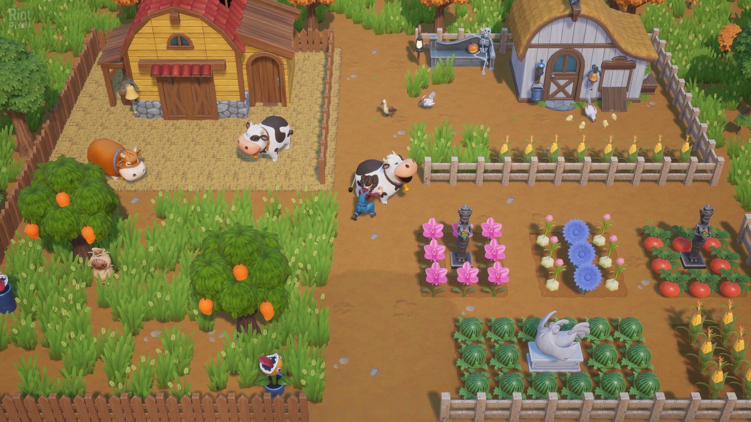 [14]-Coral Island: OST Bundle – v1.1-1226 + 6 DLCs/Bonuses + Windows 7 Fix Download-HohohoGames
