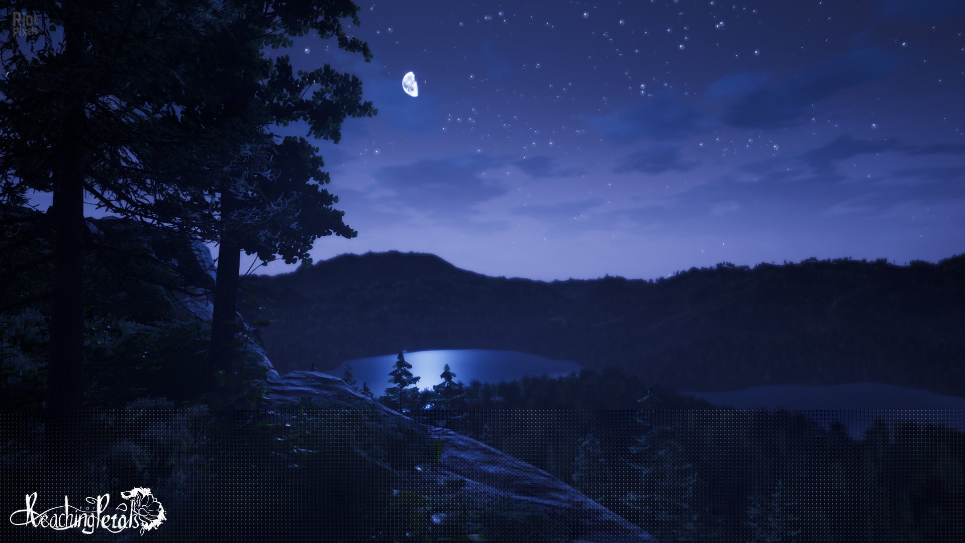 [5]-Reaching for Petals Download-HohohoGames