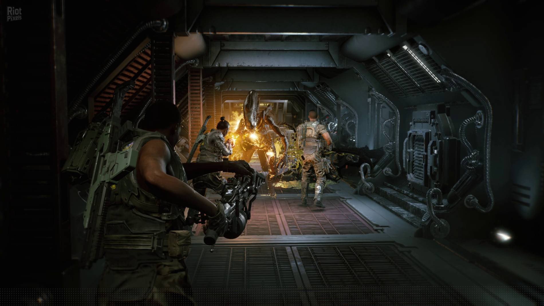 [8]-Aliens: Fireteam Elite – v1.0.5.101570 + 7 DLCs + Windows 7 Fix Download-HohohoGames