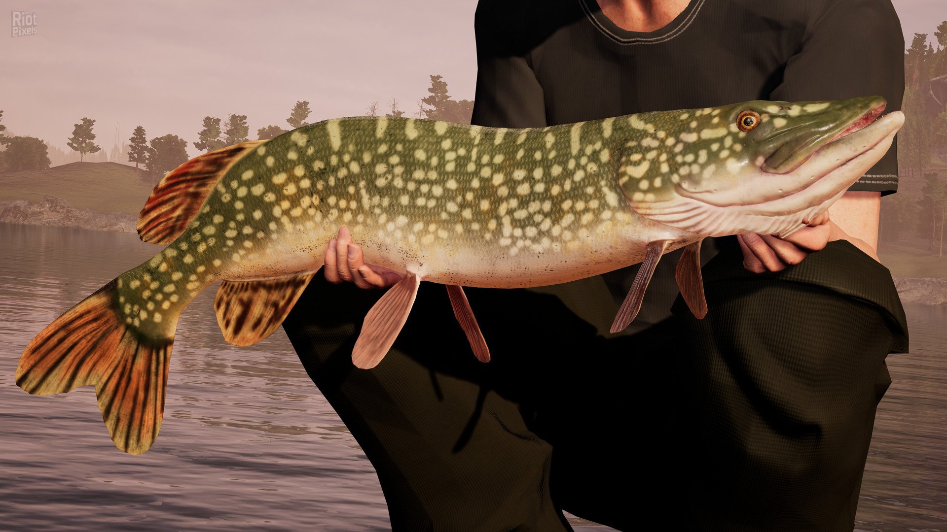 [8]-Fishing Sim World: Deluxe Edition Download-HohohoGames