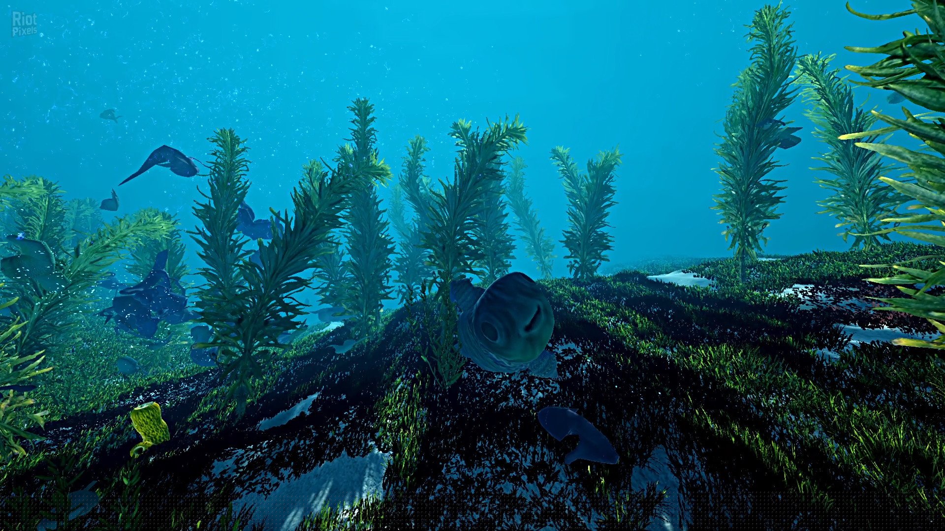 [16]-Ecosystem – v1.01 Download-HohohoGames