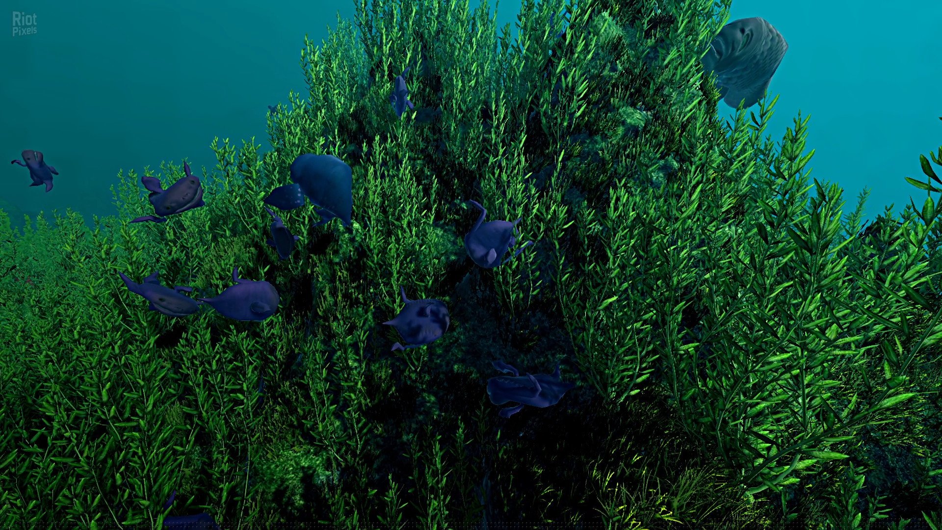 [14]-Ecosystem – v1.01 Download-HohohoGames