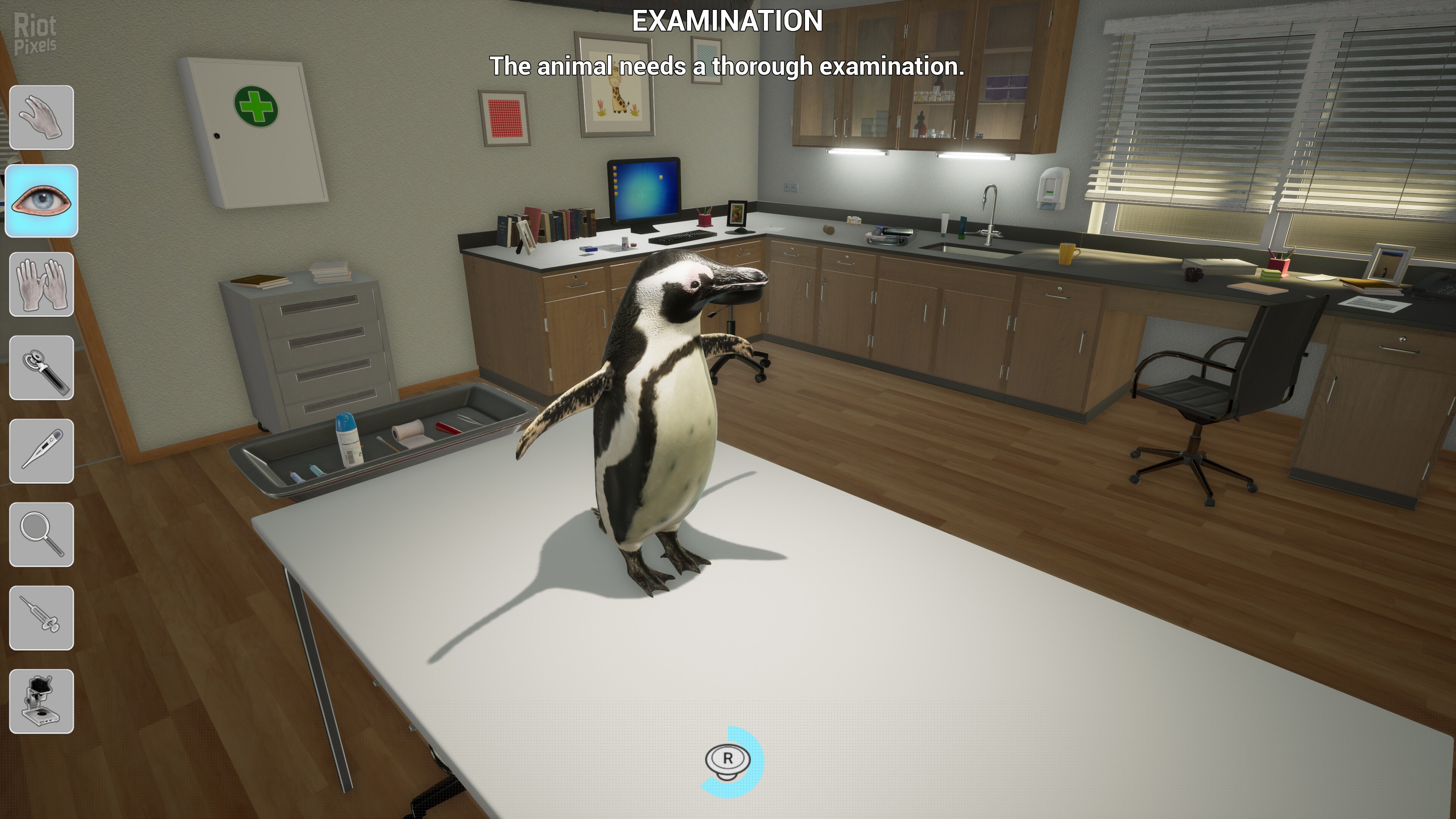 [7]-My Life: Zoo Vet – v1.2.0 Download-HohohoGames