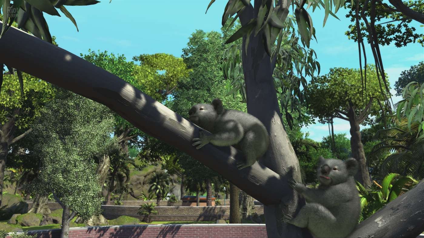 [5]-Zoo Tycoon: Ultimate Animal Collection Download-HohohoGames