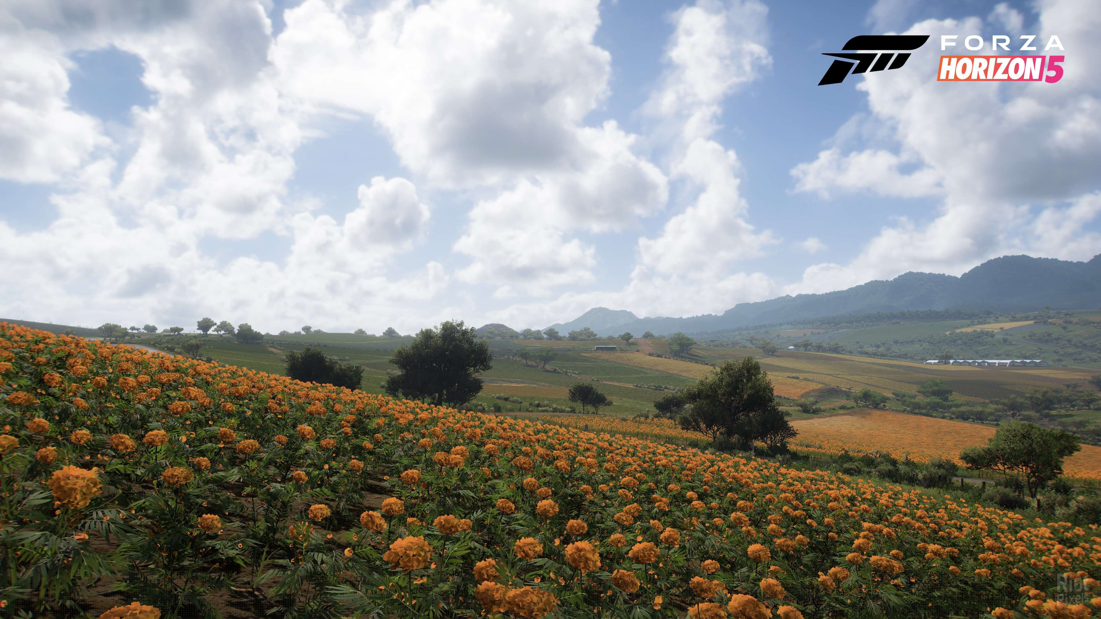 [13]-Forza Horizon 5: Premium Edition – v1.656.386.0 + 58 DLCs + 100% Unlock Save + Multiplayer Download-HohohoGames