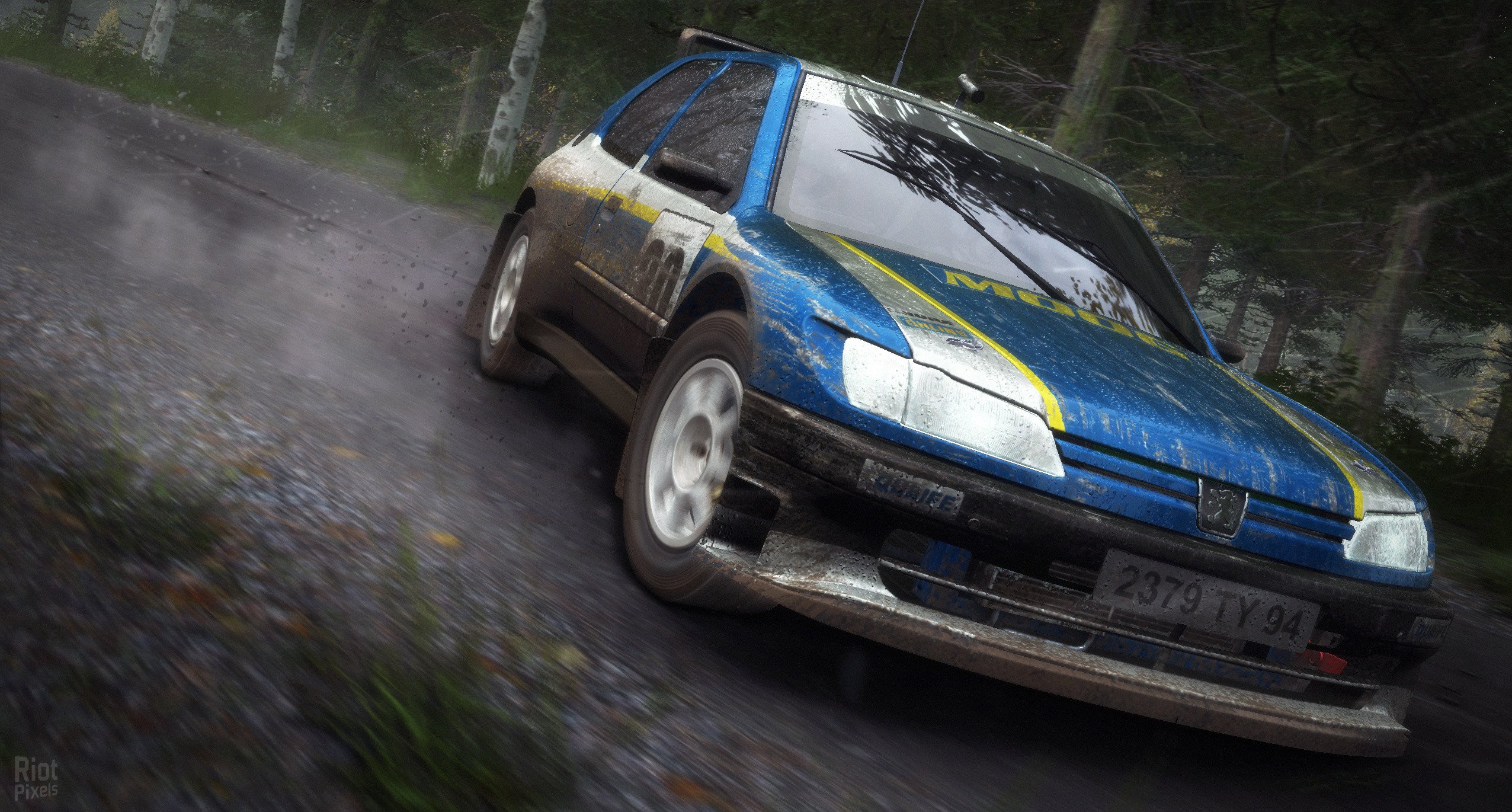 [5]-DiRT Rally – v1.23 Download-HohohoGames