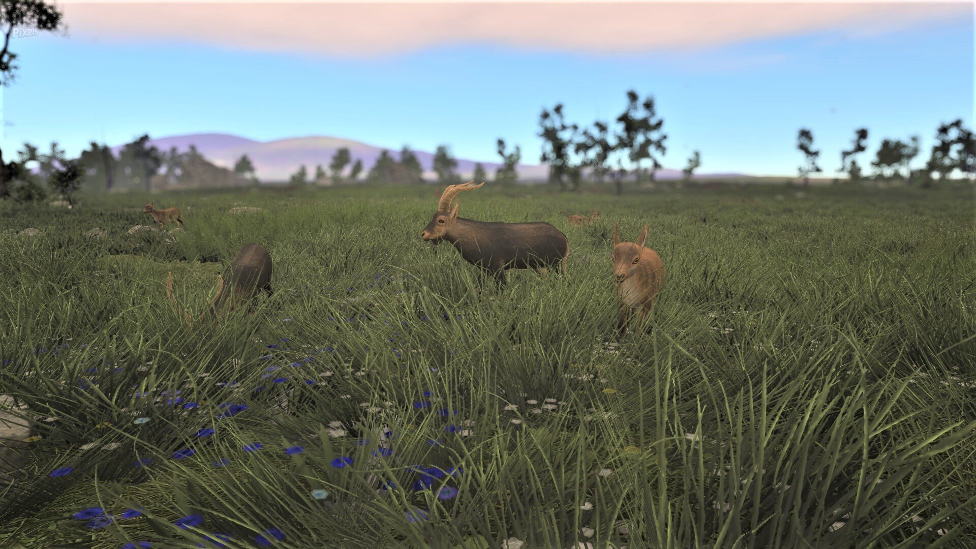 [13]-Ancient Cities – v1.0.1.1 Download-HohohoGames