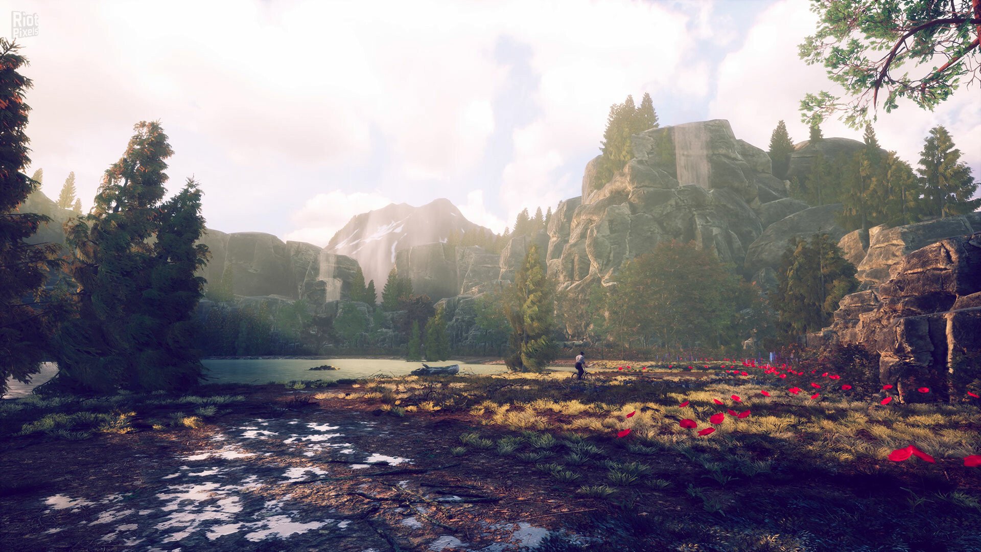 [7]-Purpose 1951 + Windows 7 Fix Download-HohohoGames