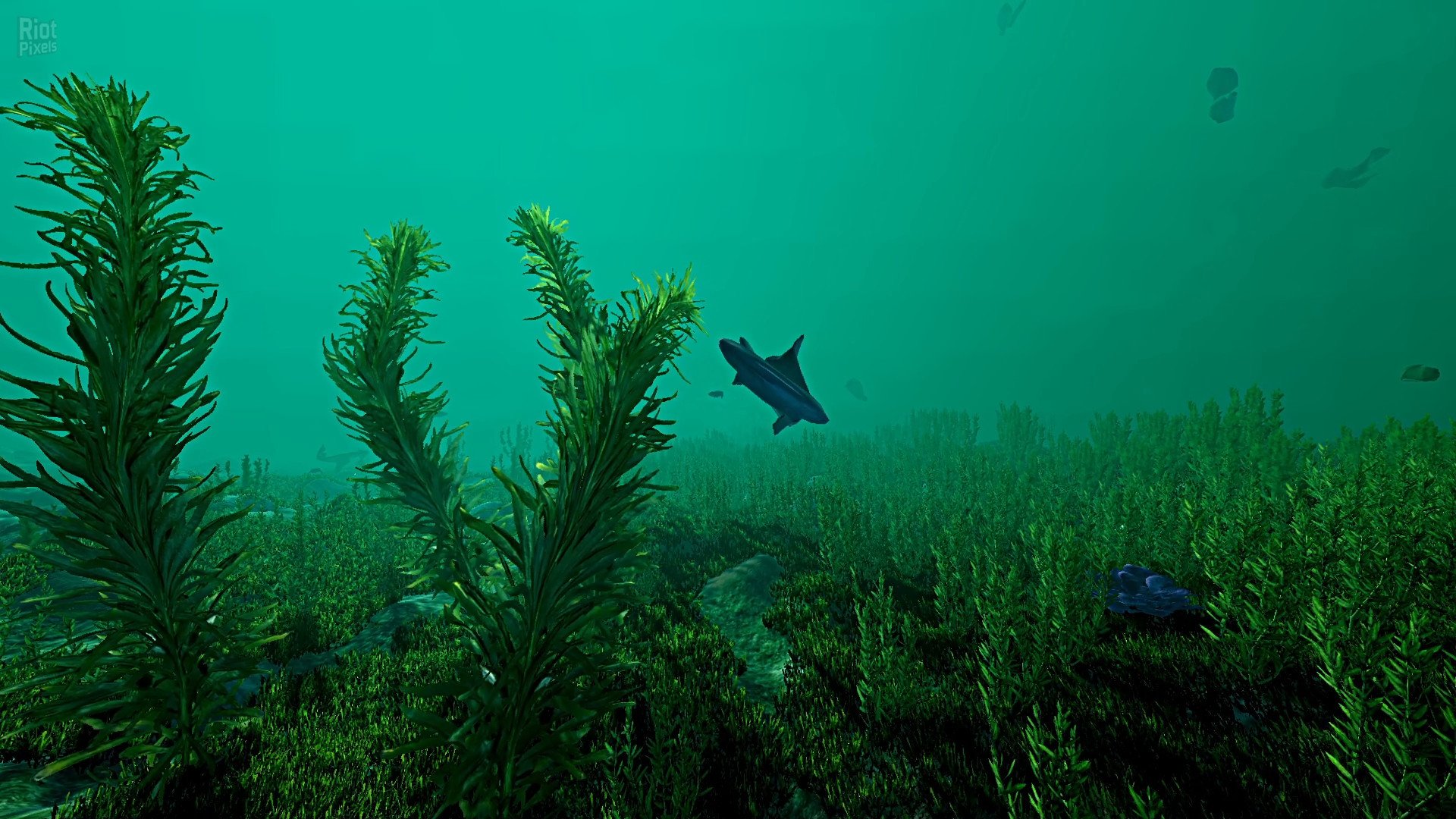 [15]-Ecosystem – v1.01 Download-HohohoGames