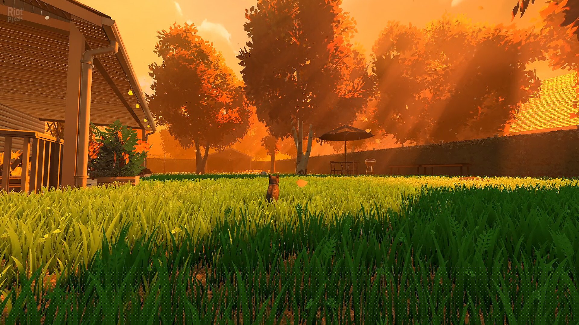 [8]-Copycat – Game & OST Download-HohohoGames