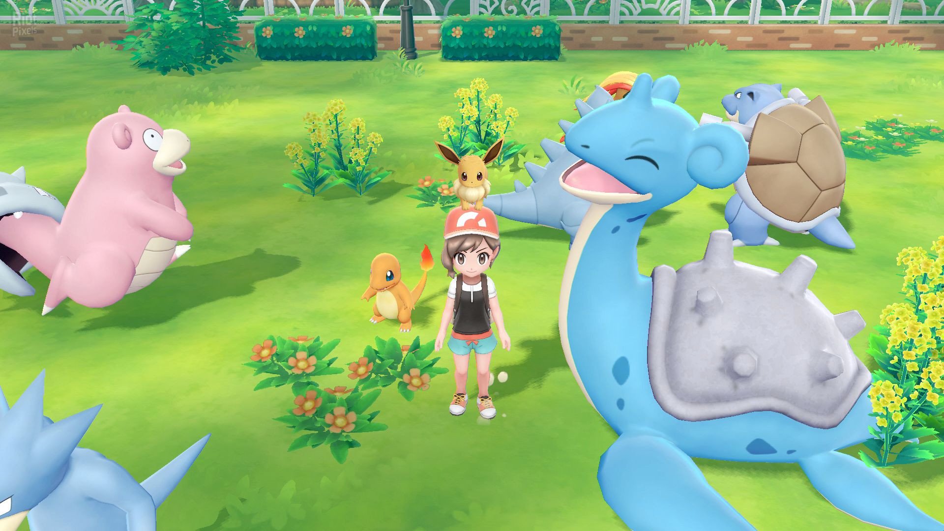 [8]-Pokemon: Let’s Go, Pikachu/Eevee! – v1.0.2 + Yuzu Emu for PC Download-HohohoGames