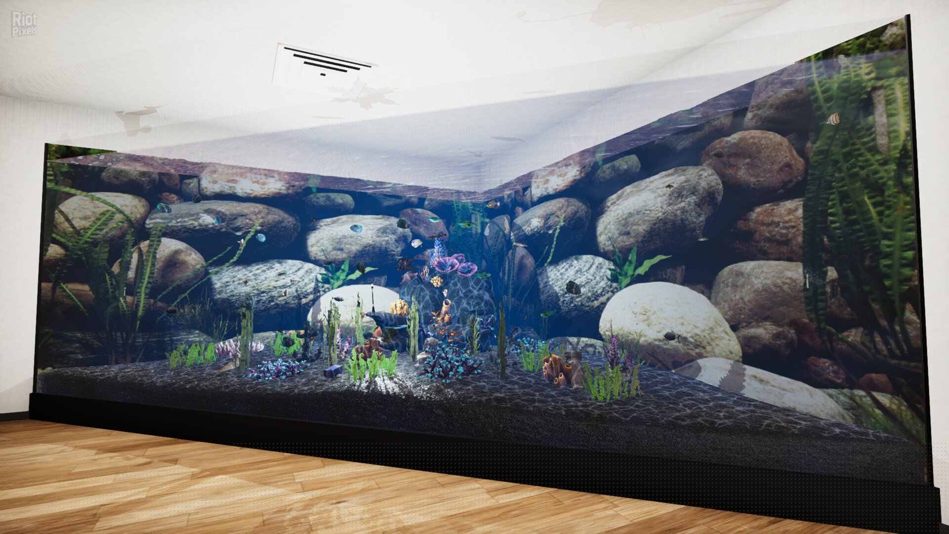[15]-Aquatic Store Simulator Download-HohohoGames
