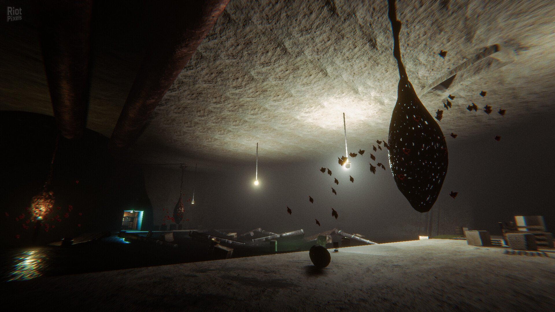 [9]-The Proponent Download-HohohoGames