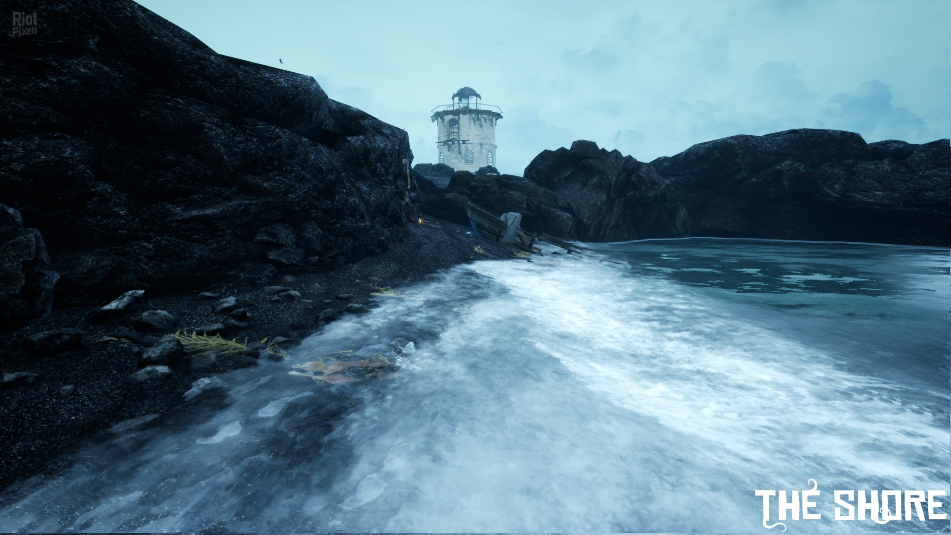 The Shore Download-HohohoGames