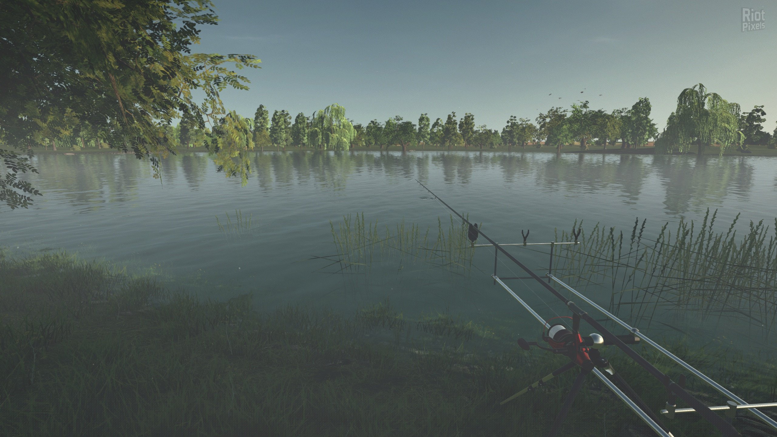 [11]-Ultimate Fishing Simulator: Gold Edition – v2.3.23.12:212 + 12 DLCs Download-HohohoGames