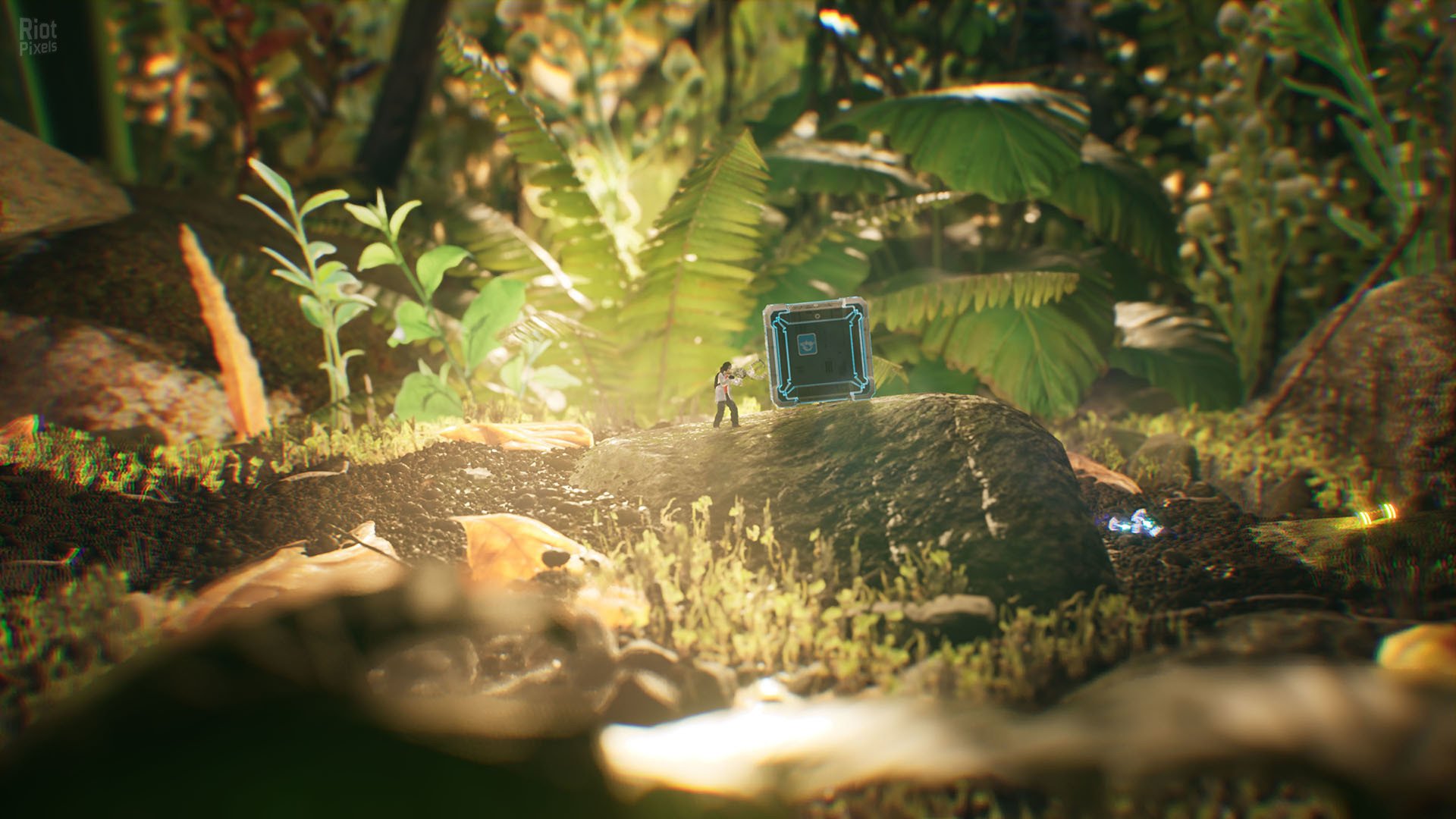 [15]-Big Earth Download-HohohoGames