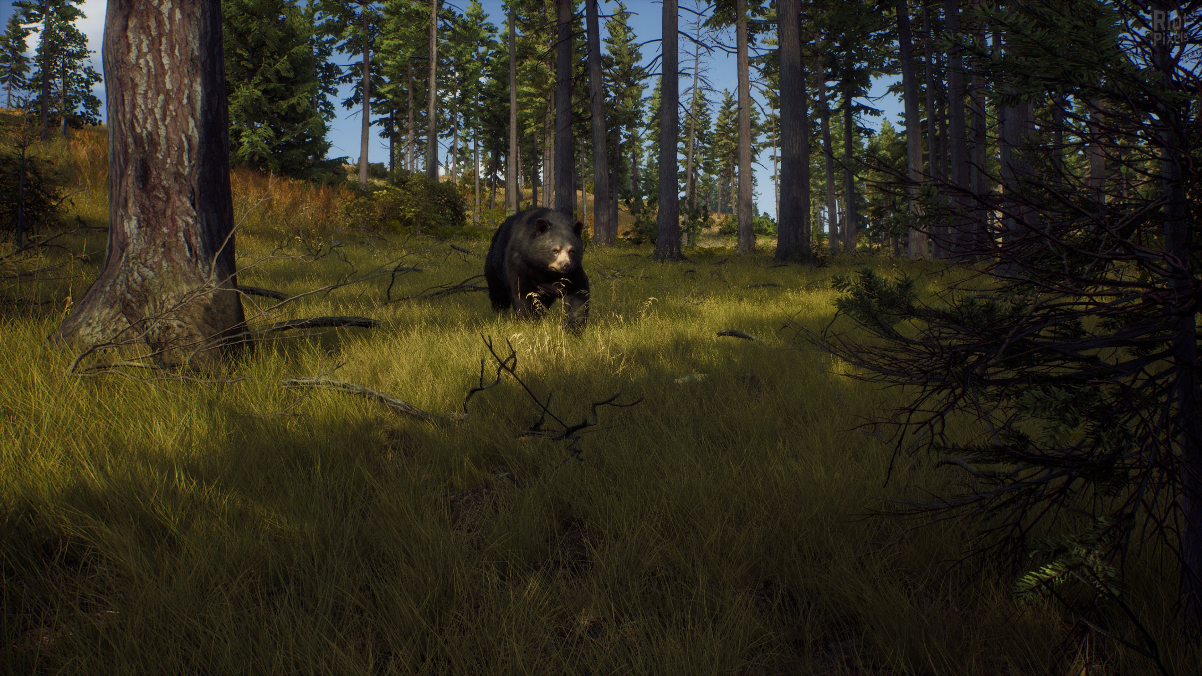 [7]-Way of the Hunter: Ultimate Edition – v1.6 + 10 DLCs + Windows 7 Fix Download-HohohoGames