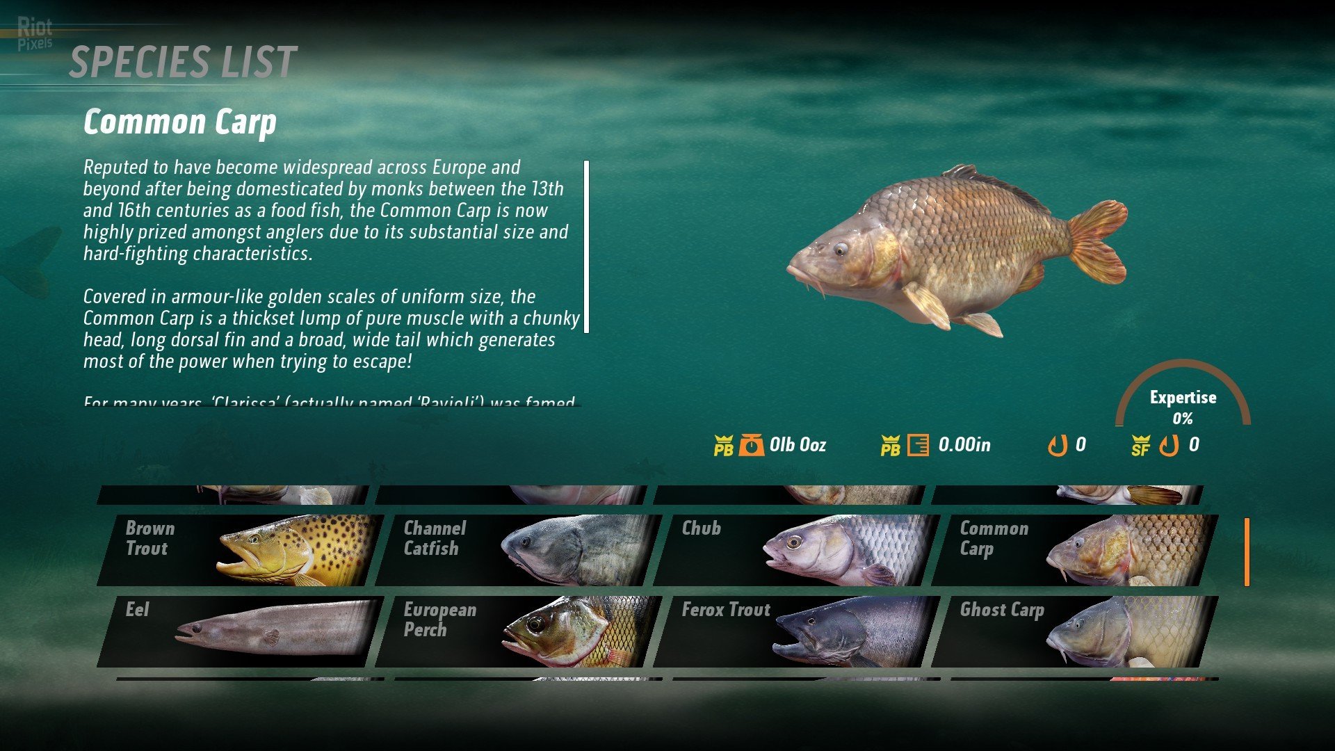 [3]-The Catch: Carp & Coarse – v1.0.49212.56 Download-HohohoGames