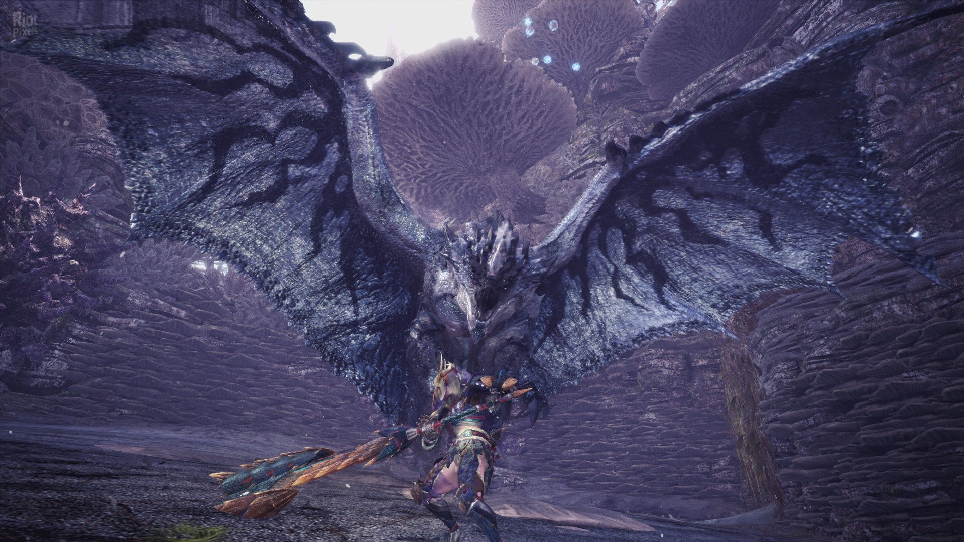 [11]-Monster Hunter World: Iceborne – Master Edition – v15.11.01/421471 + 242 DLCs + HRTP Download-HohohoGames