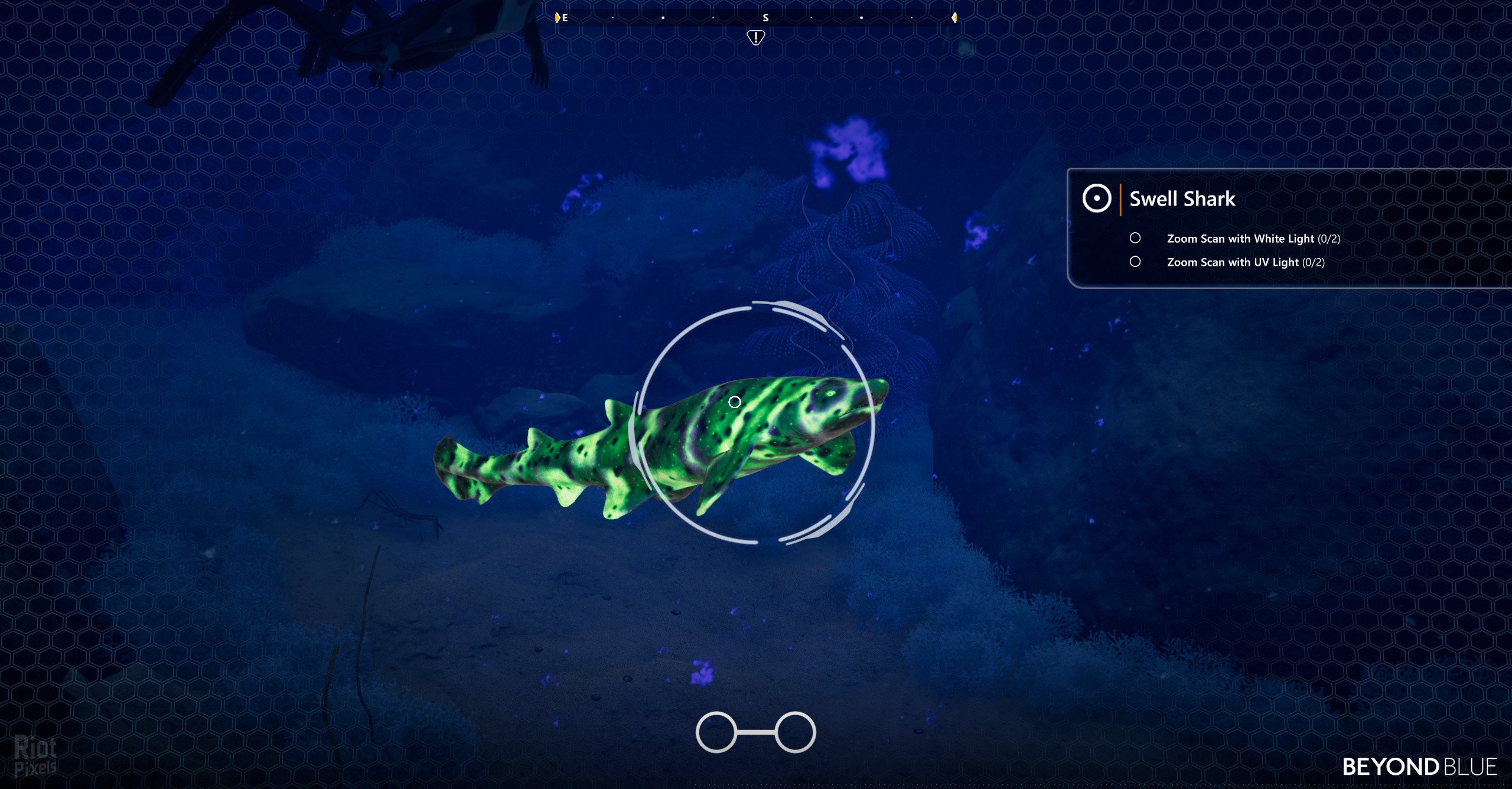 [7]-Beyond Blue – v1.7.17798 Download-HohohoGames