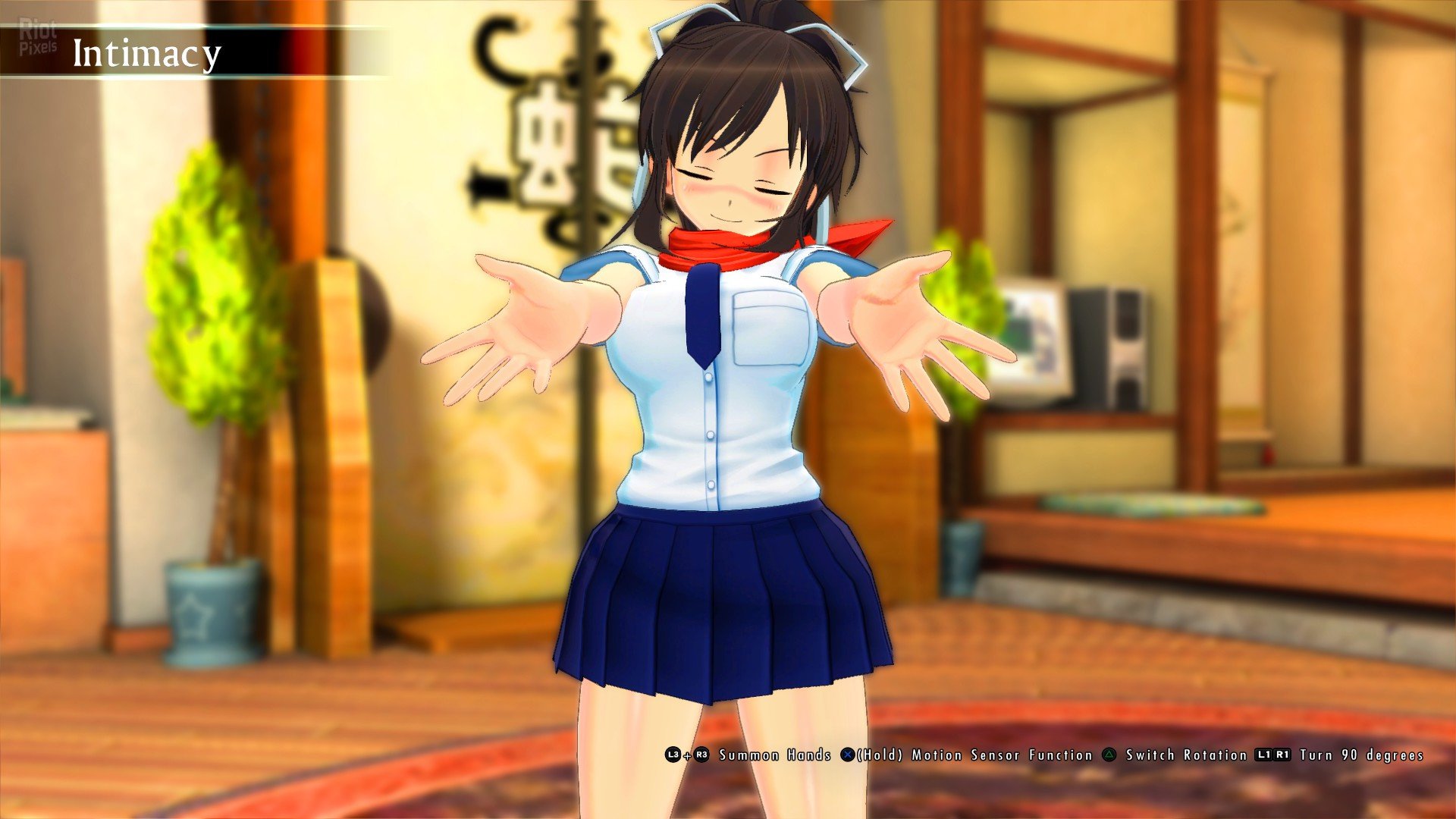 [4]-SENRAN KAGURA Burst Re:Newal – Tailor-Made Limited Edition Download-HohohoGames
