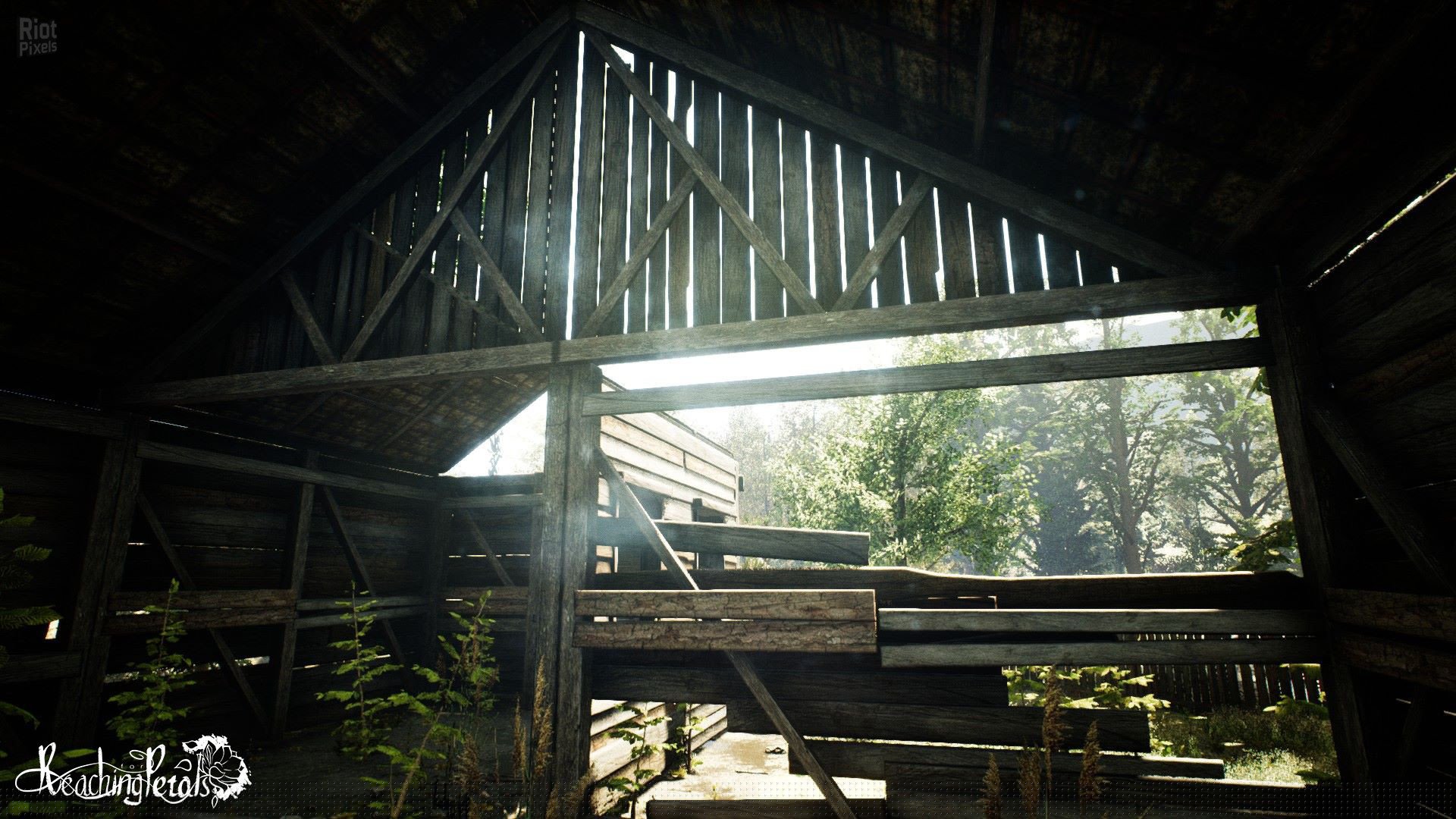 [9]-Reaching for Petals Download-HohohoGames