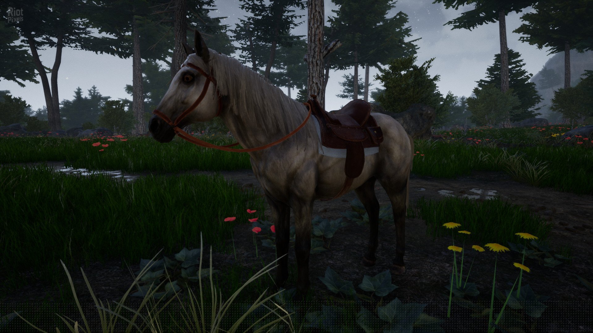 [8]-Horse Riding Deluxe 2 Download-HohohoGames